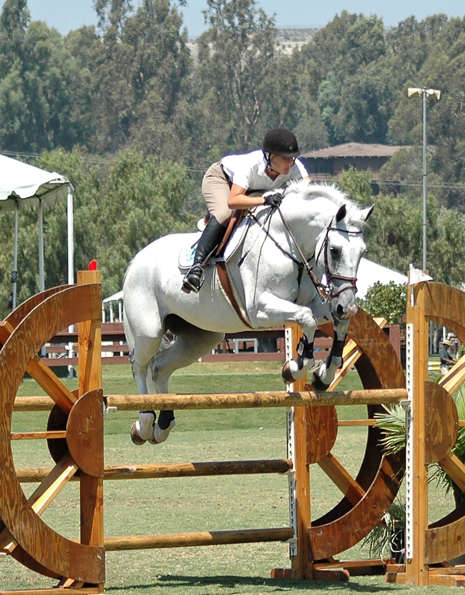 Nikon D70s sample photo. Horse, horseback, ride photography