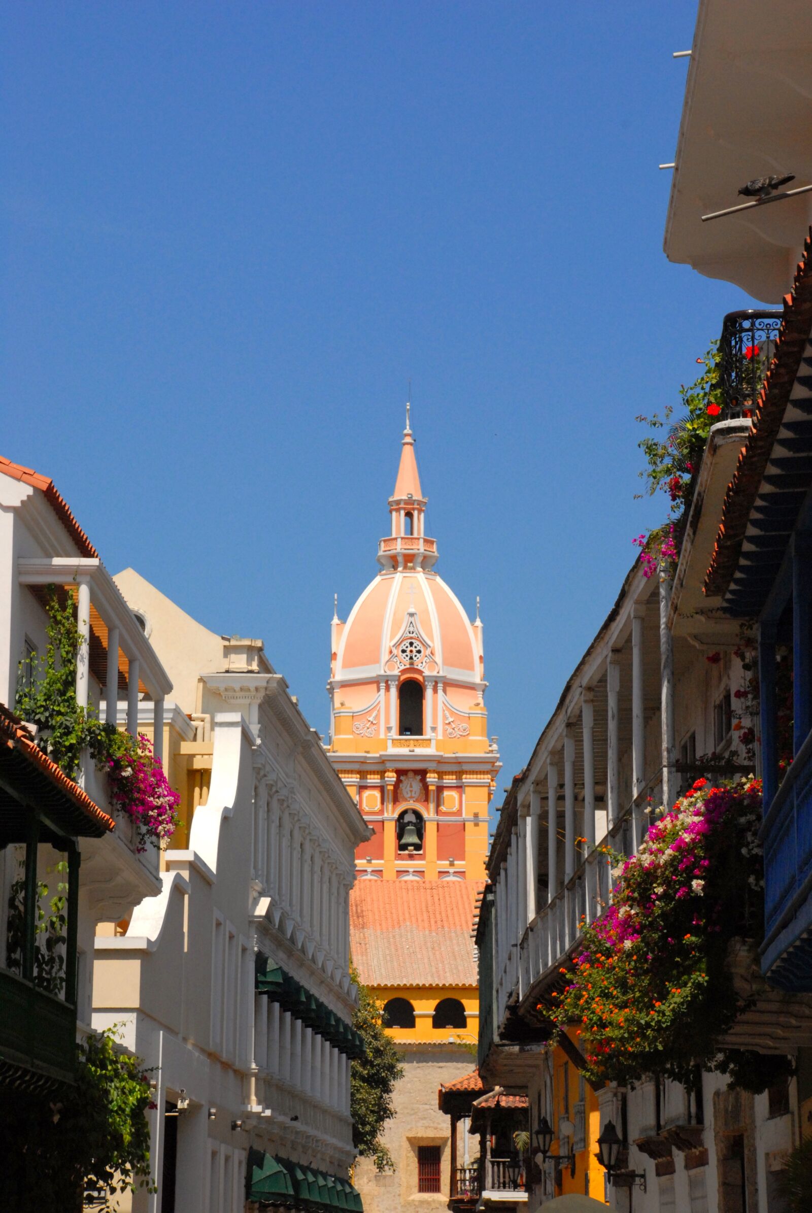 Nikon D200 sample photo. Cathedral, dome, cartagena photography