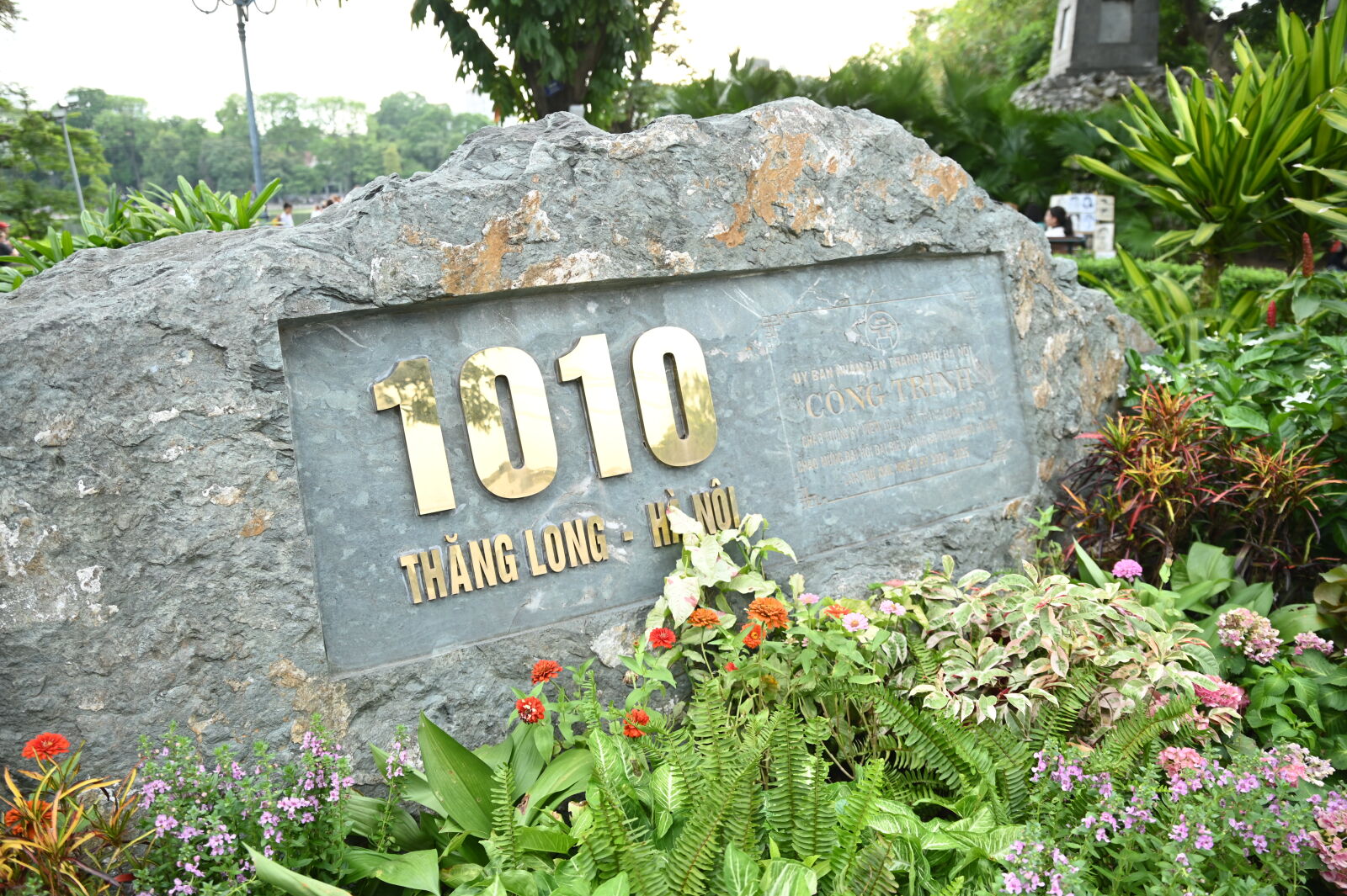 Nikon D780 sample photo