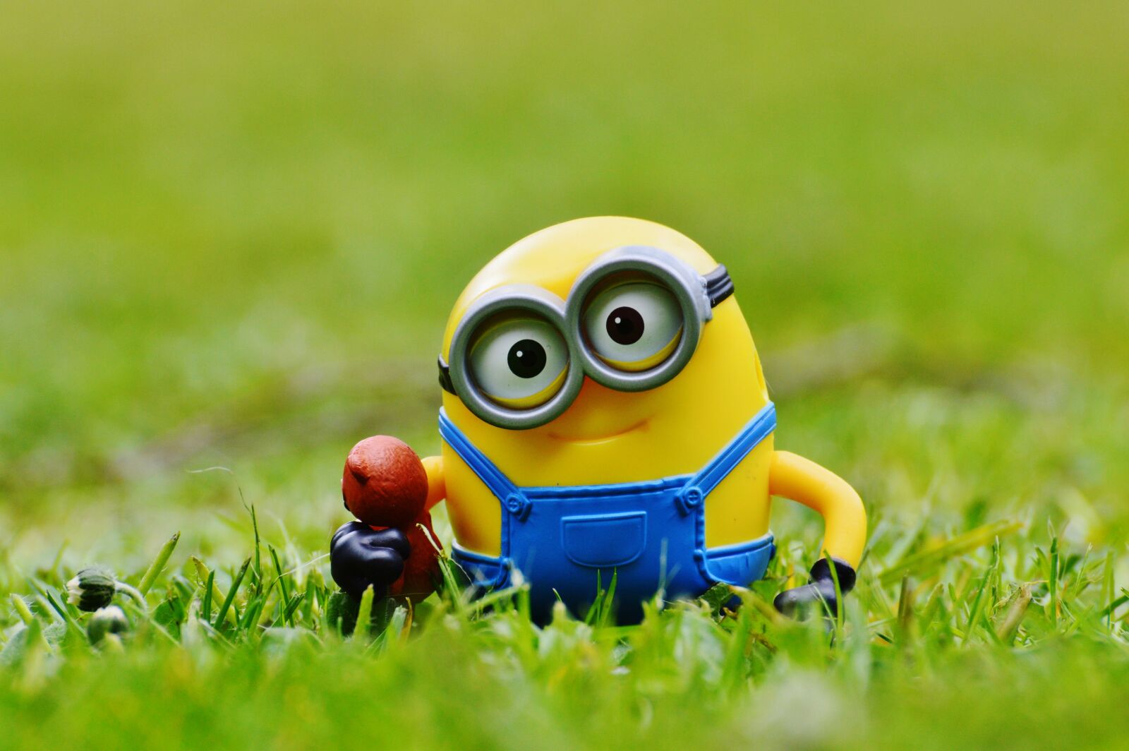 Nikon D3200 sample photo. Minion, funny, meadow photography