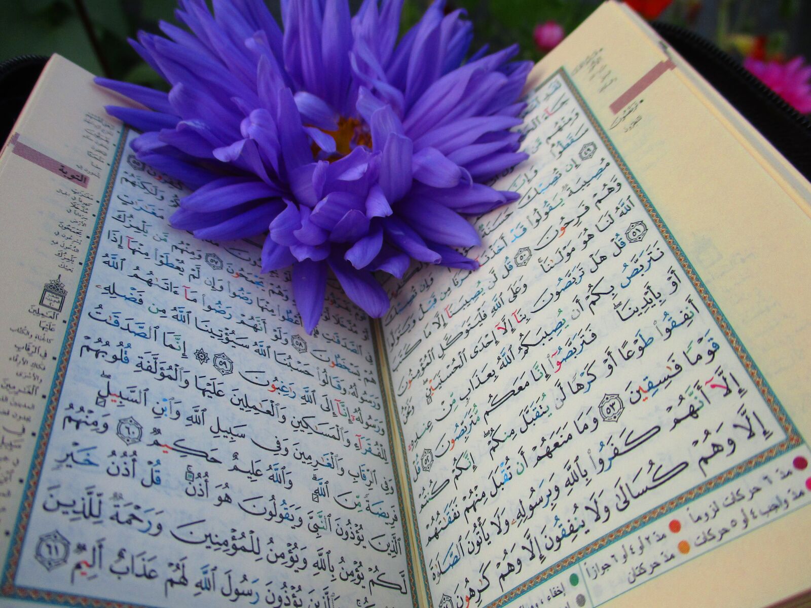 Canon IXUS 185 sample photo. Quran, shrine, scripture photography