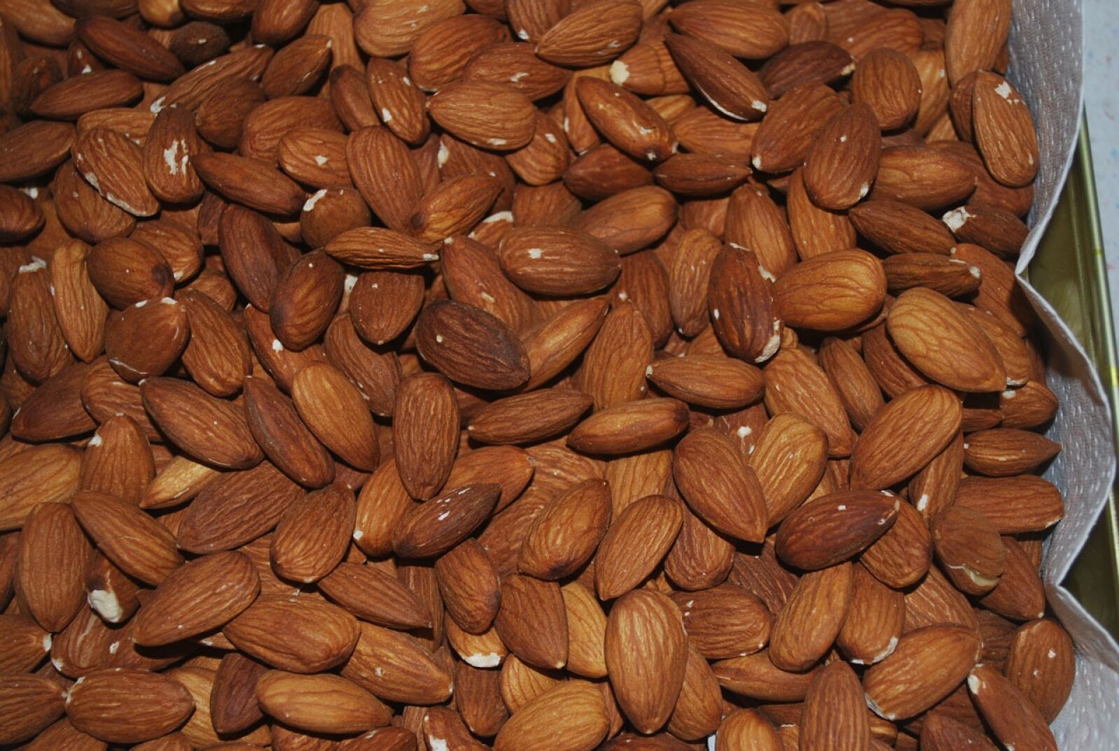 Nikon D60 sample photo. Almond, almonds, nuts photography