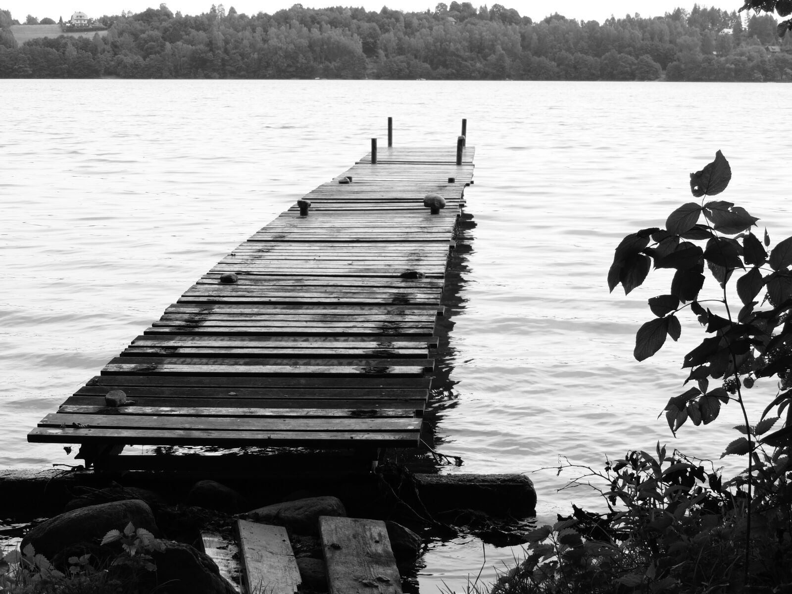 Nikon Coolpix P520 sample photo. Platform, lake, landscape photography