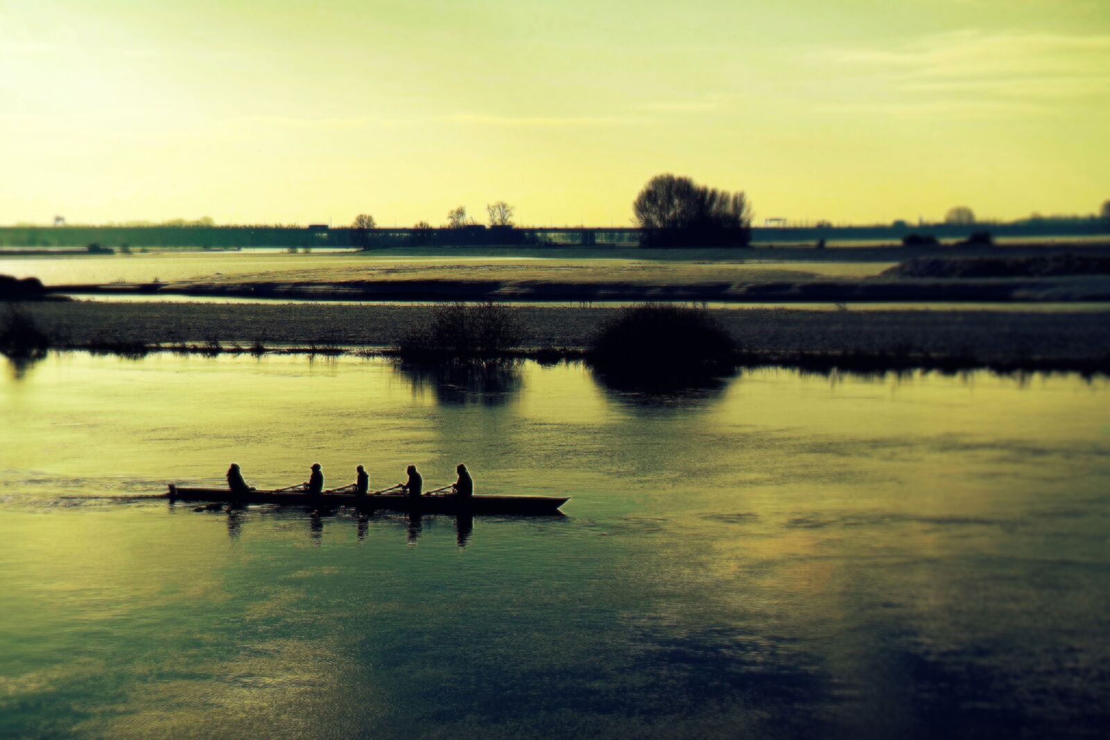 Samsung NX300 sample photo. Boats, rowing, sport, water photography