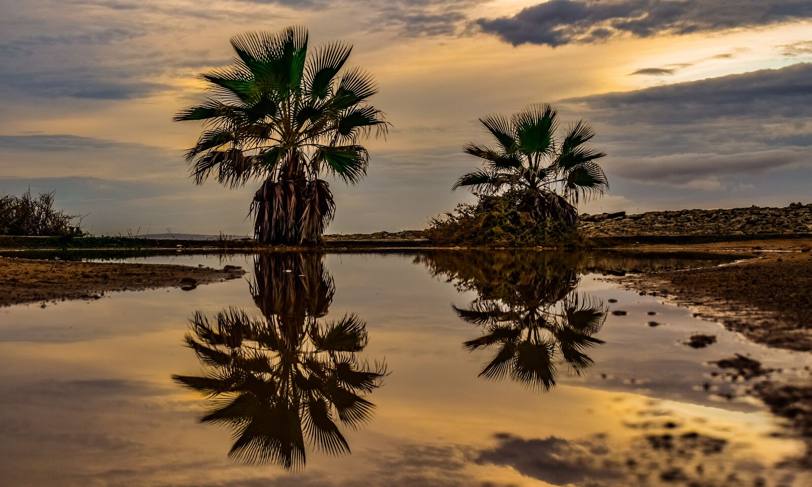 Nikon D3300 sample photo. Palm trees, sky, clouds photography