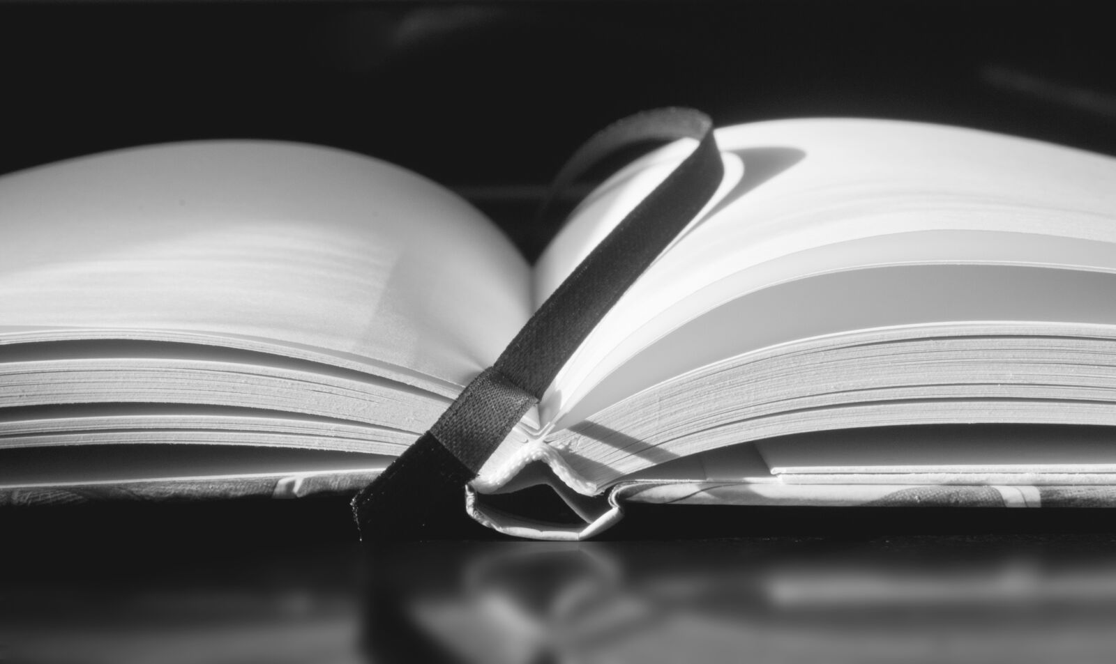 Nikon D3100 sample photo. Address book, notebook, book photography
