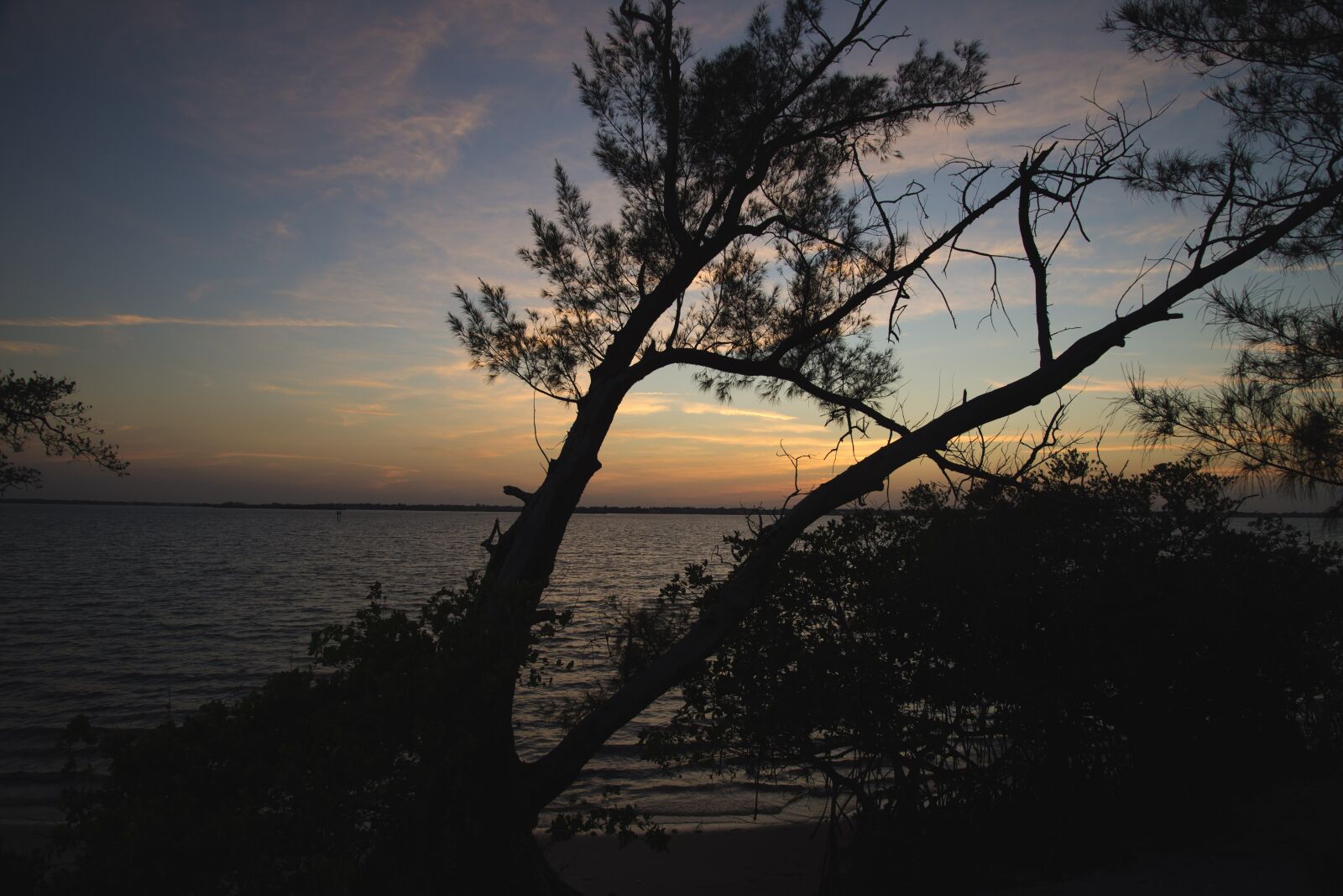 Nikon D610 sample photo. Sunset, water, bay photography