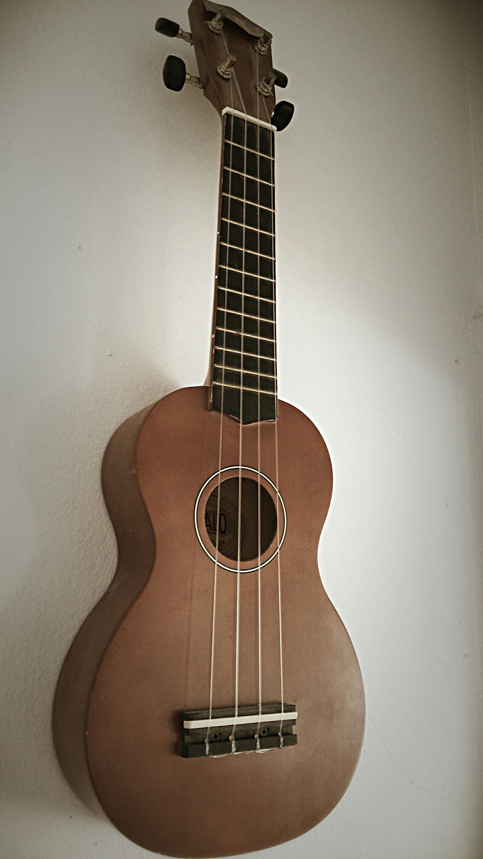 LG H650E sample photo. Ukulele, music, instrument photography