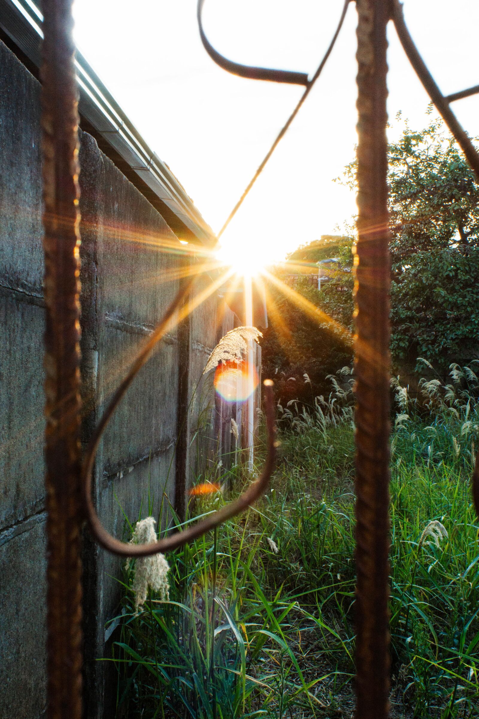 Sony 28mm F2.8 sample photo