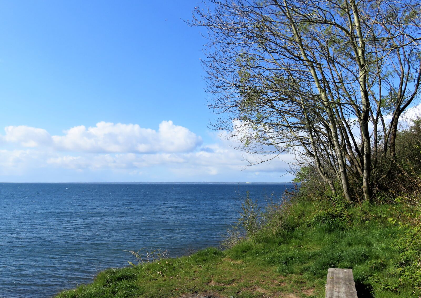 Canon PowerShot SX710 HS sample photo. Sea, baltic sea, denmark photography