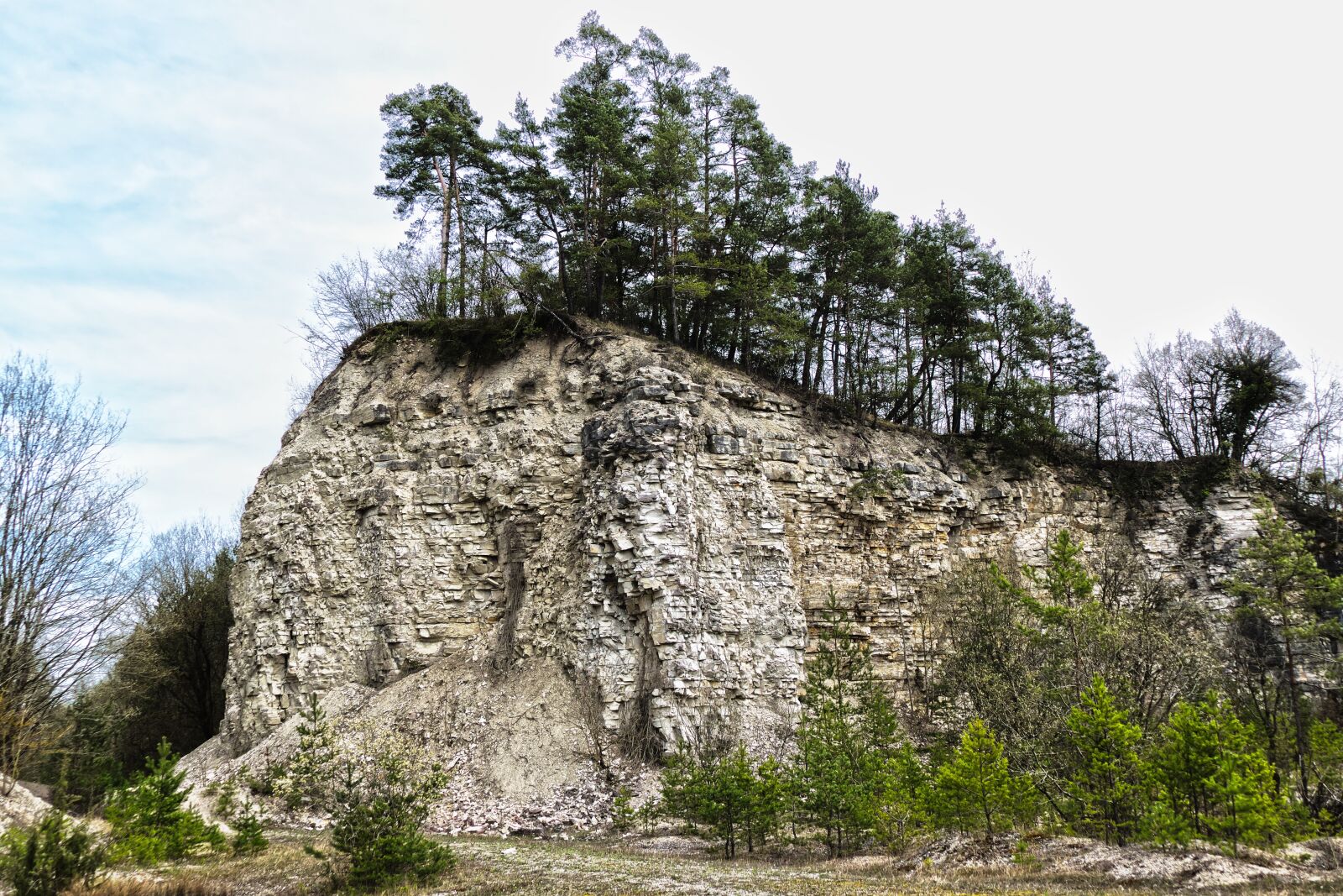 Panasonic Lumix DMC-FZ1000 sample photo. Quarry, trees, rock photography