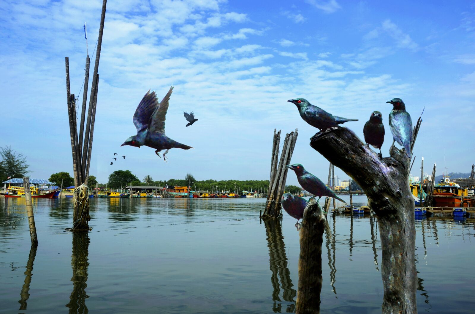 Nikon D7000 sample photo. River, water, birds photography