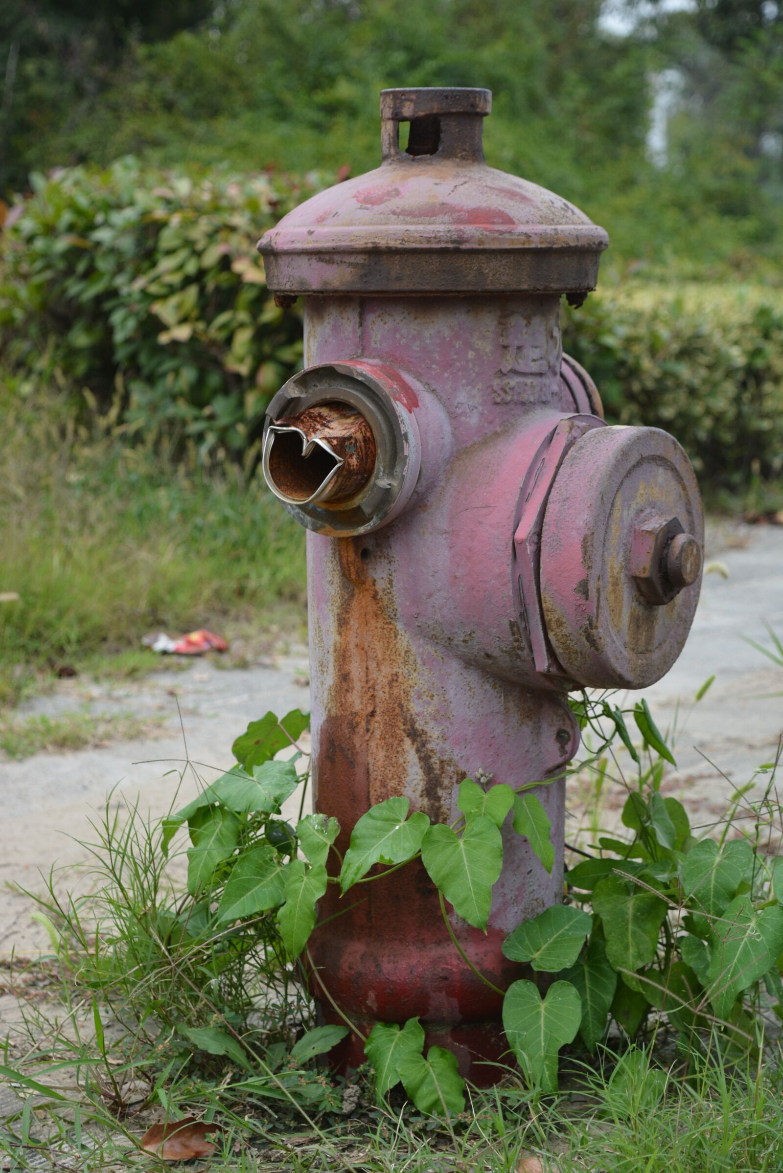 Nikon D7100 sample photo. Fire hydrant, outside, old photography