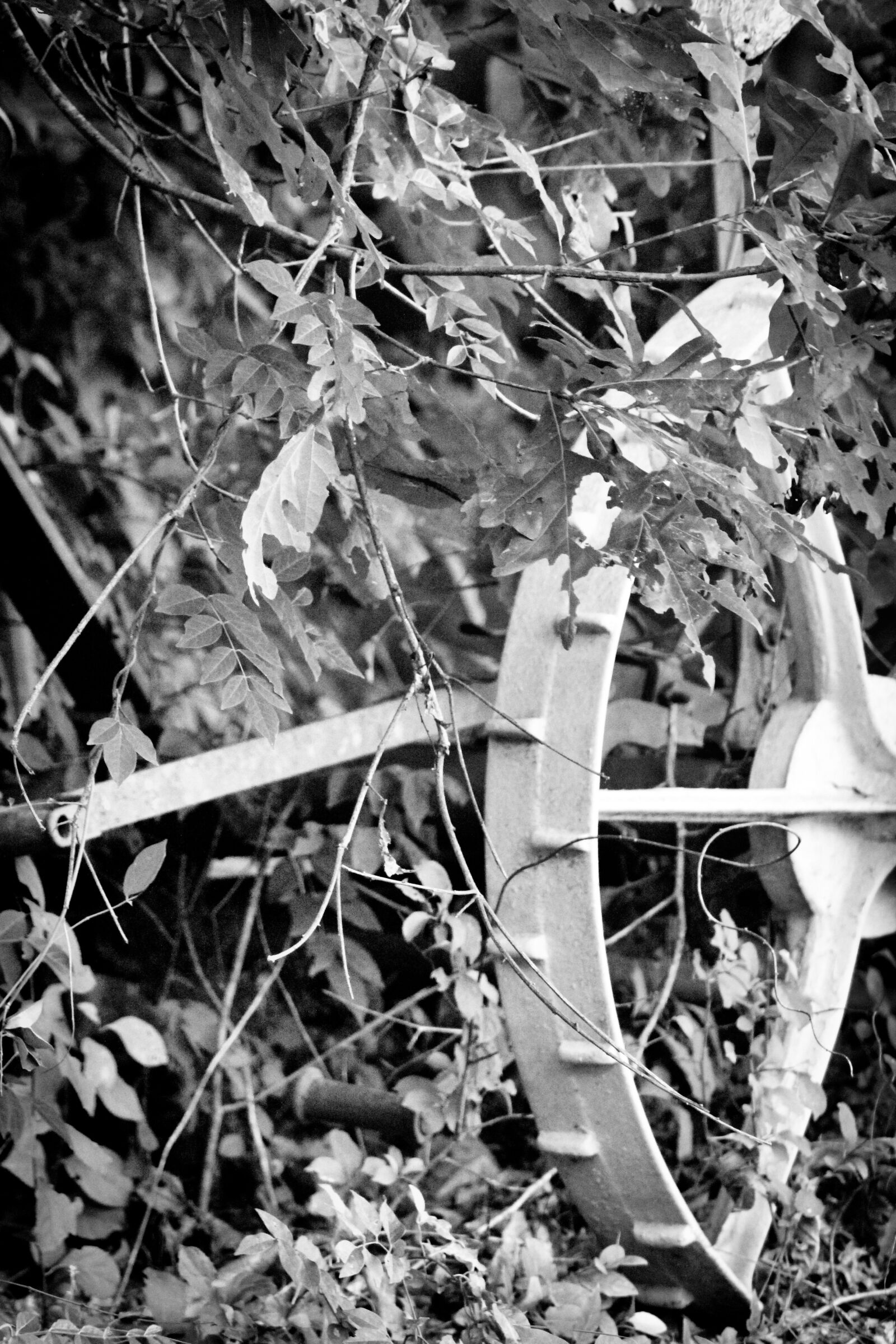 Canon EOS 550D (EOS Rebel T2i / EOS Kiss X4) sample photo. Farm, machinery, agriculture photography