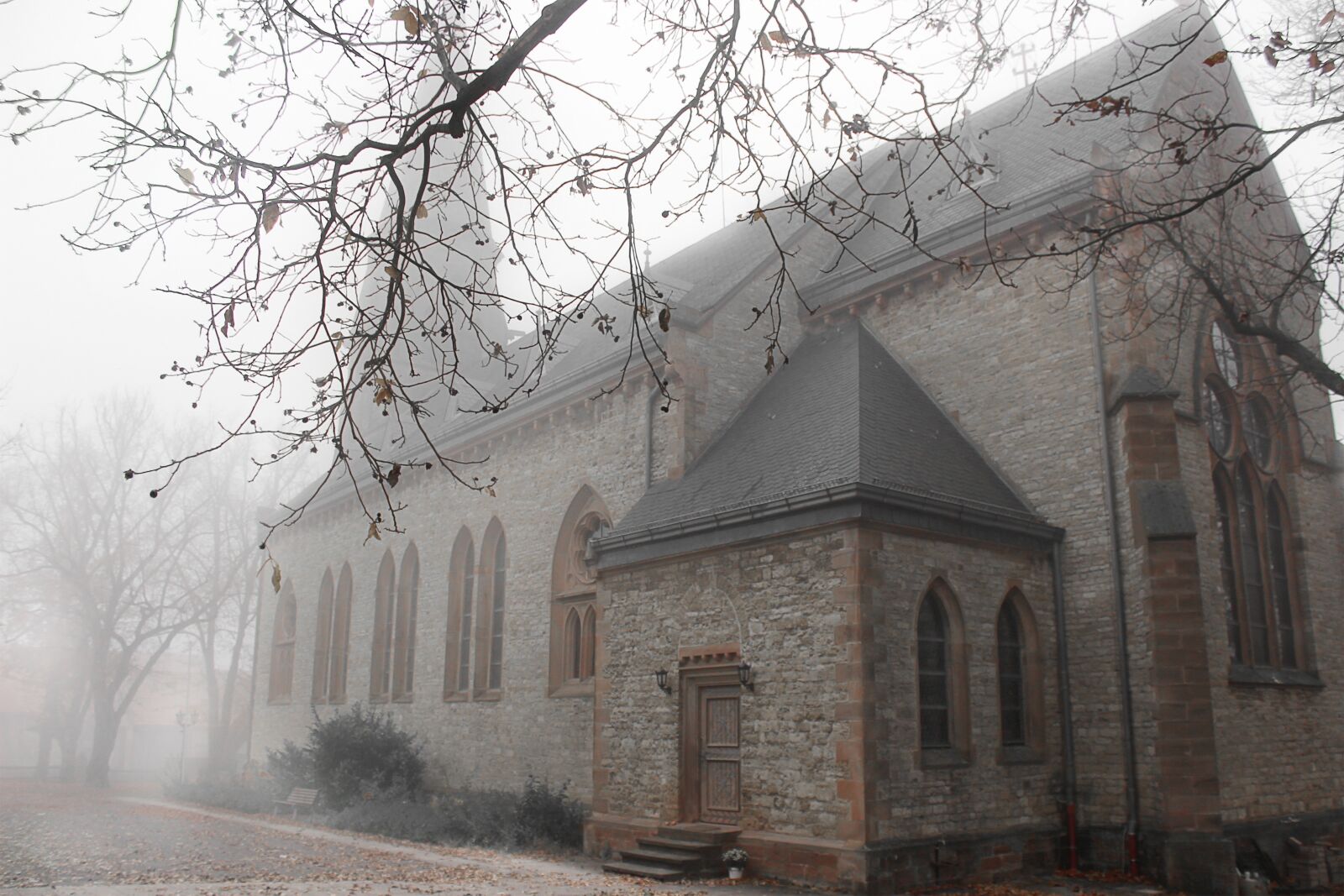 Canon EOS 600D (Rebel EOS T3i / EOS Kiss X5) sample photo. Fog, autumn, church photography