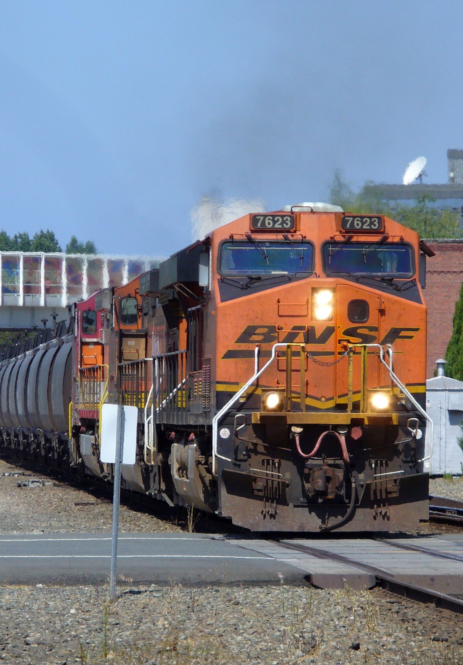 Panasonic DMC-LZ5 sample photo. Seattle, train, freight train photography