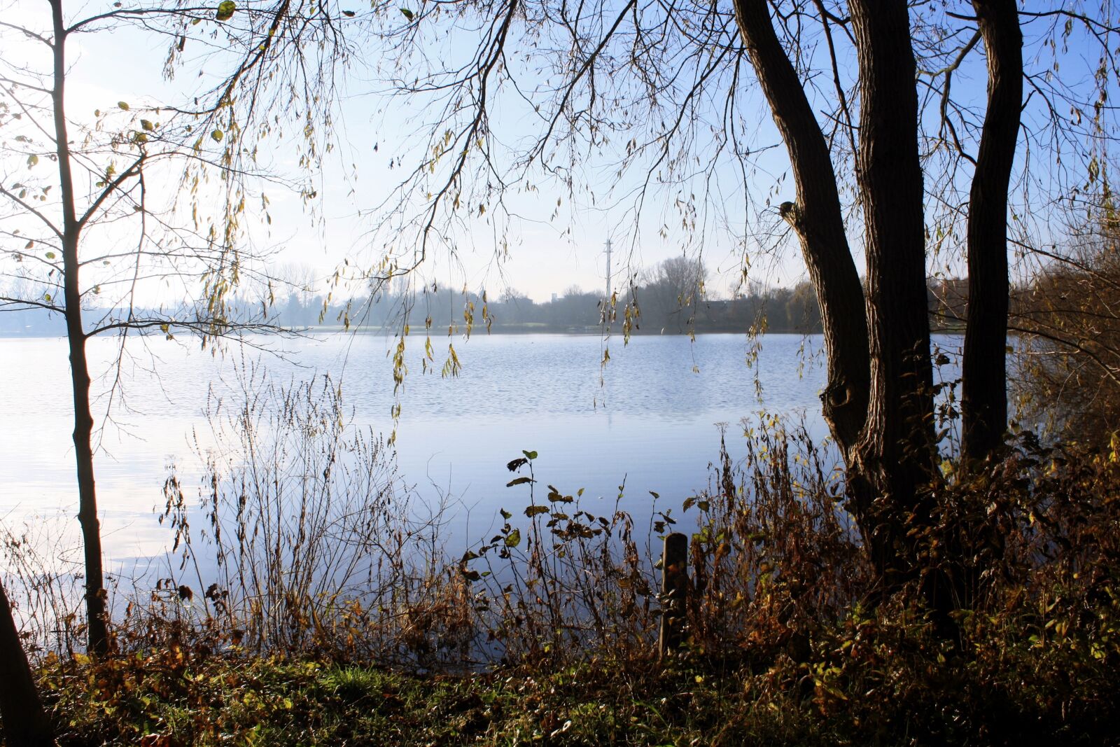 Canon EOS 1000D (EOS Digital Rebel XS / EOS Kiss F) sample photo. Tree, nature, landscape photography