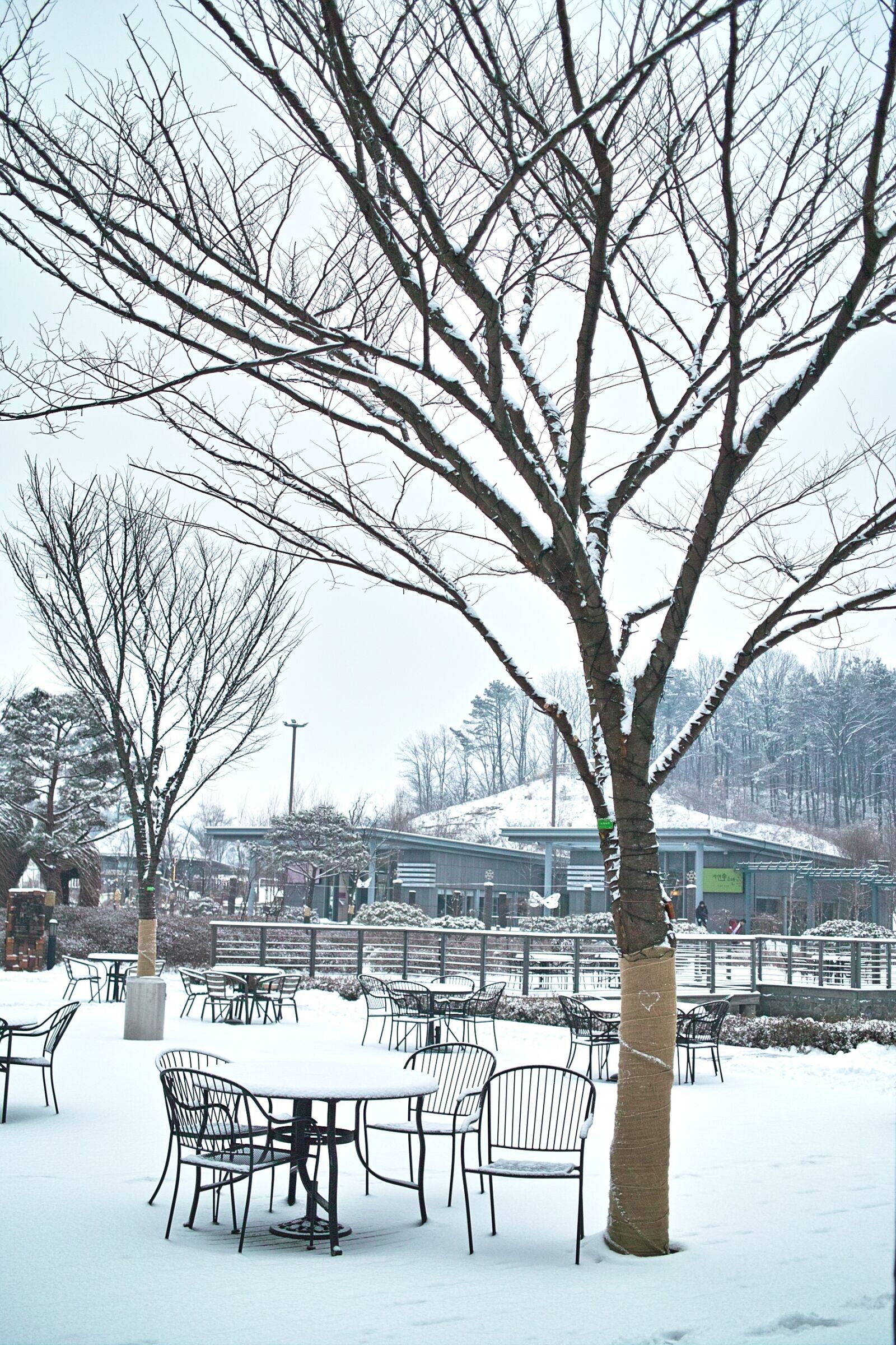 Sigma DP2 sample photo. Rest areas, winter, wood photography