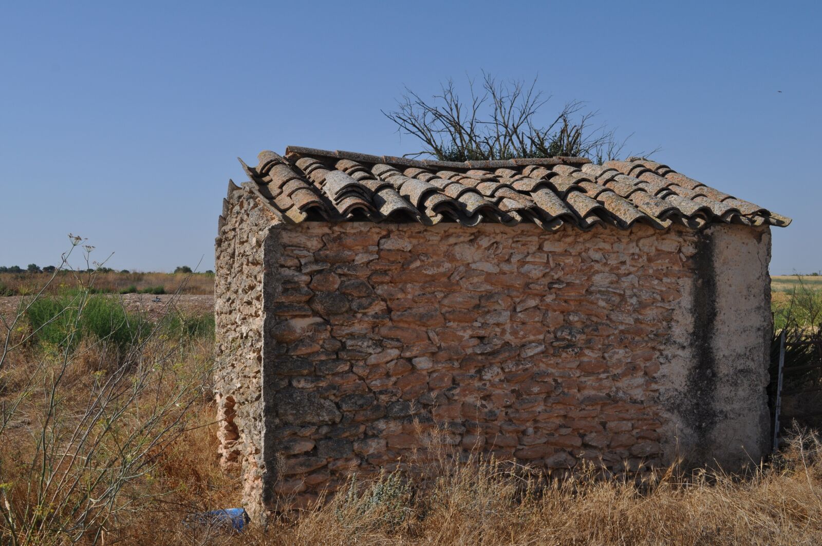 Nikon D5000 sample photo. Box, architecture, chozo photography