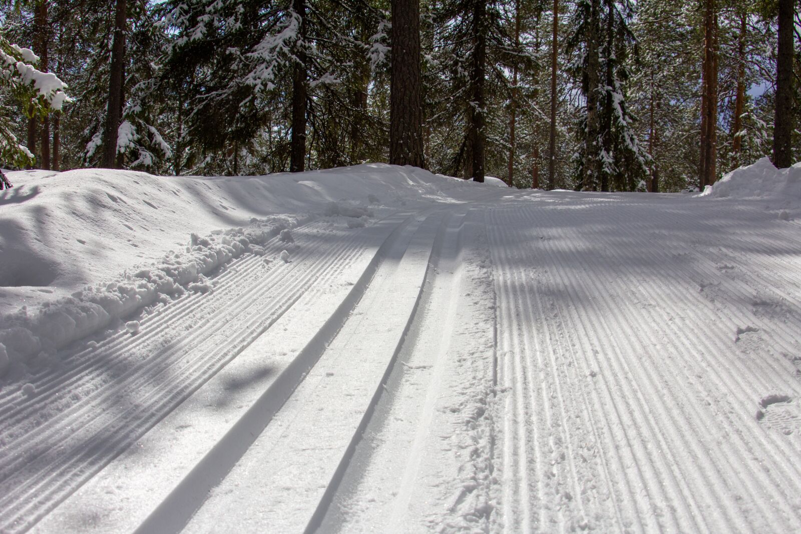 Tamron AF 28-300mm F3.5-6.3 XR Di VC LD Aspherical (IF) Macro sample photo. Ski tracks, snow, ski photography
