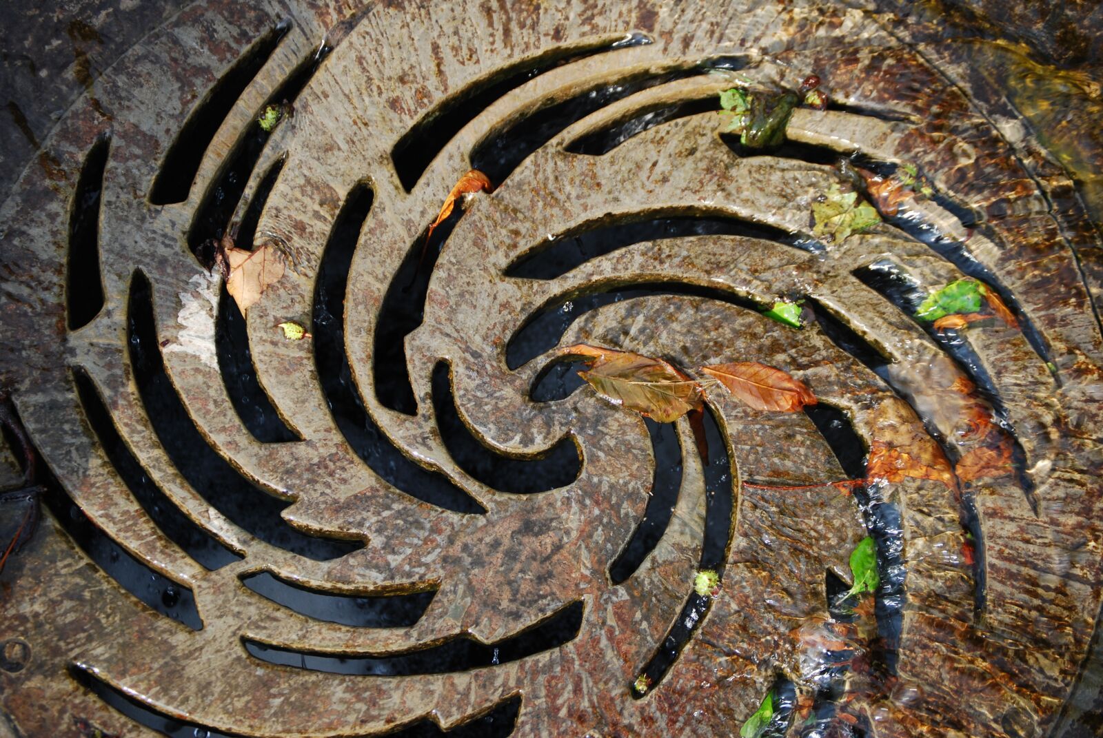 Nikon D60 sample photo. Well, spiral, lid photography