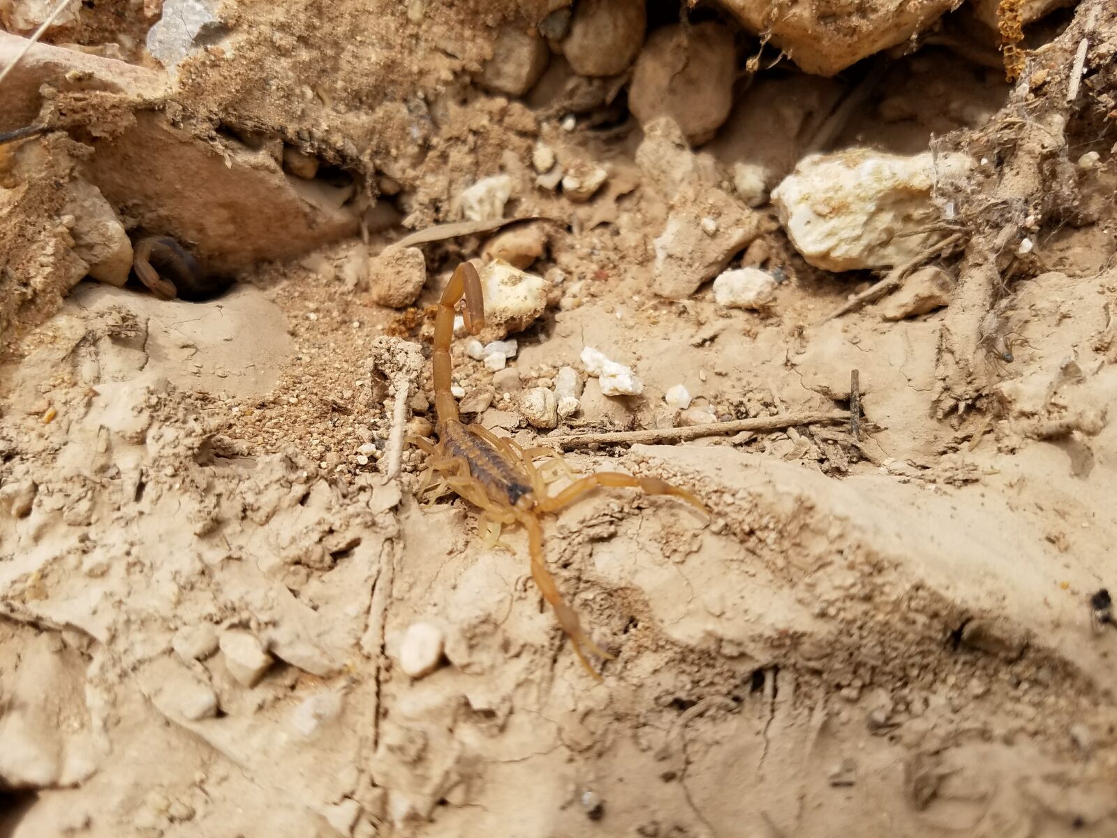 Samsung Galaxy S7 sample photo