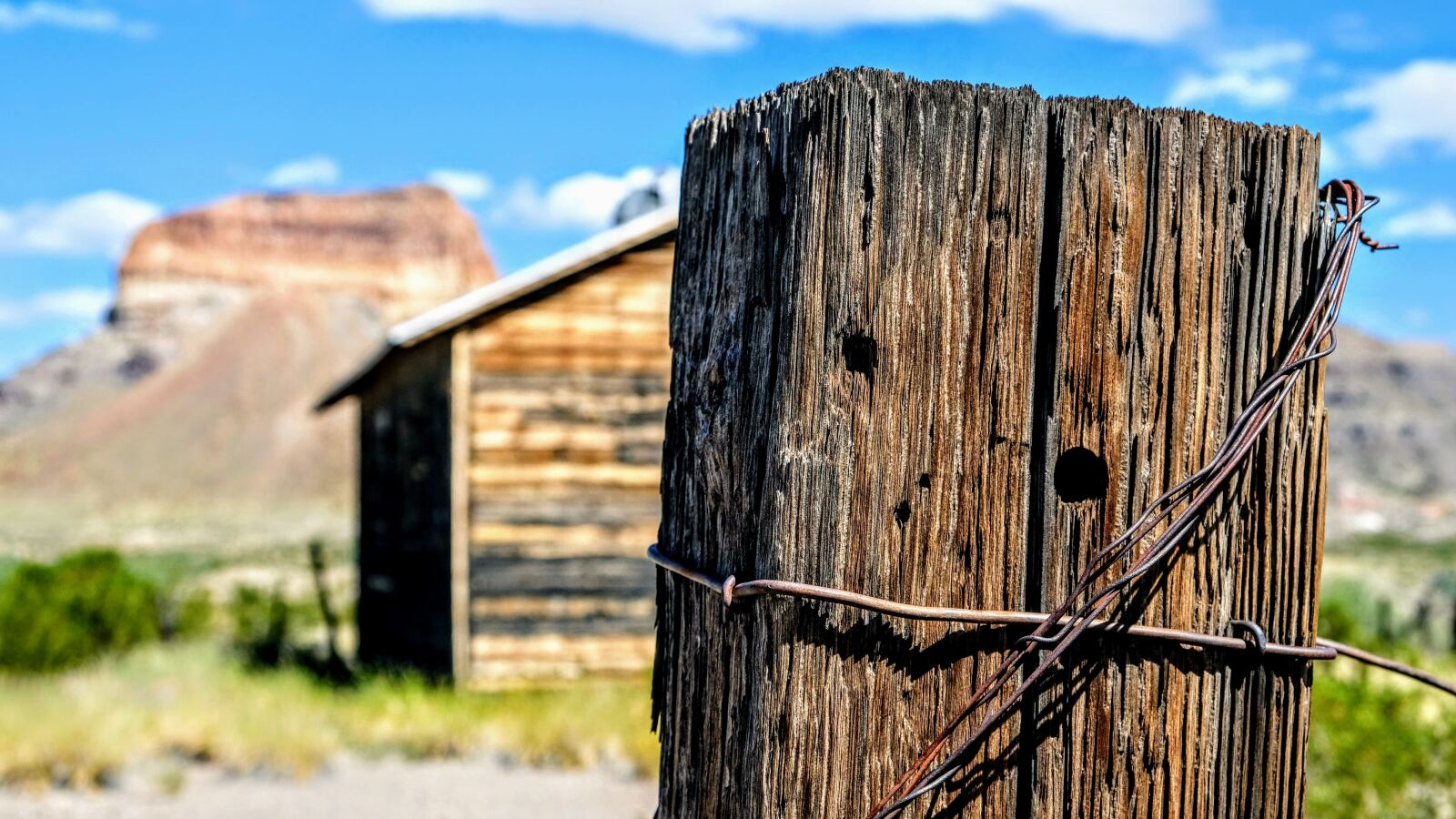 Fujifilm X-T20 sample photo. Big bend, western, barbed photography