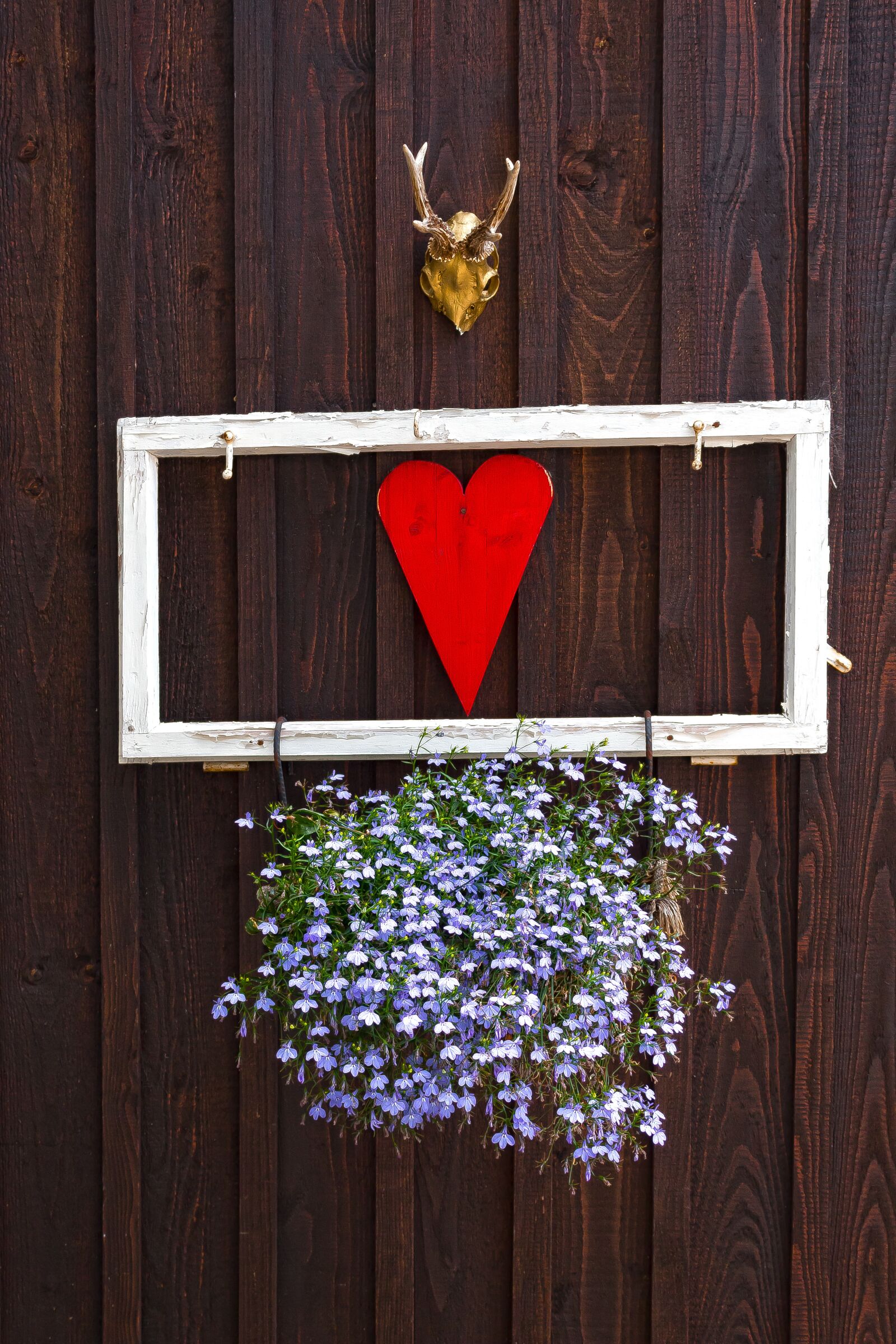 Canon EOS 1300D (EOS Rebel T6 / EOS Kiss X80) sample photo. Decoration, deco, heart photography