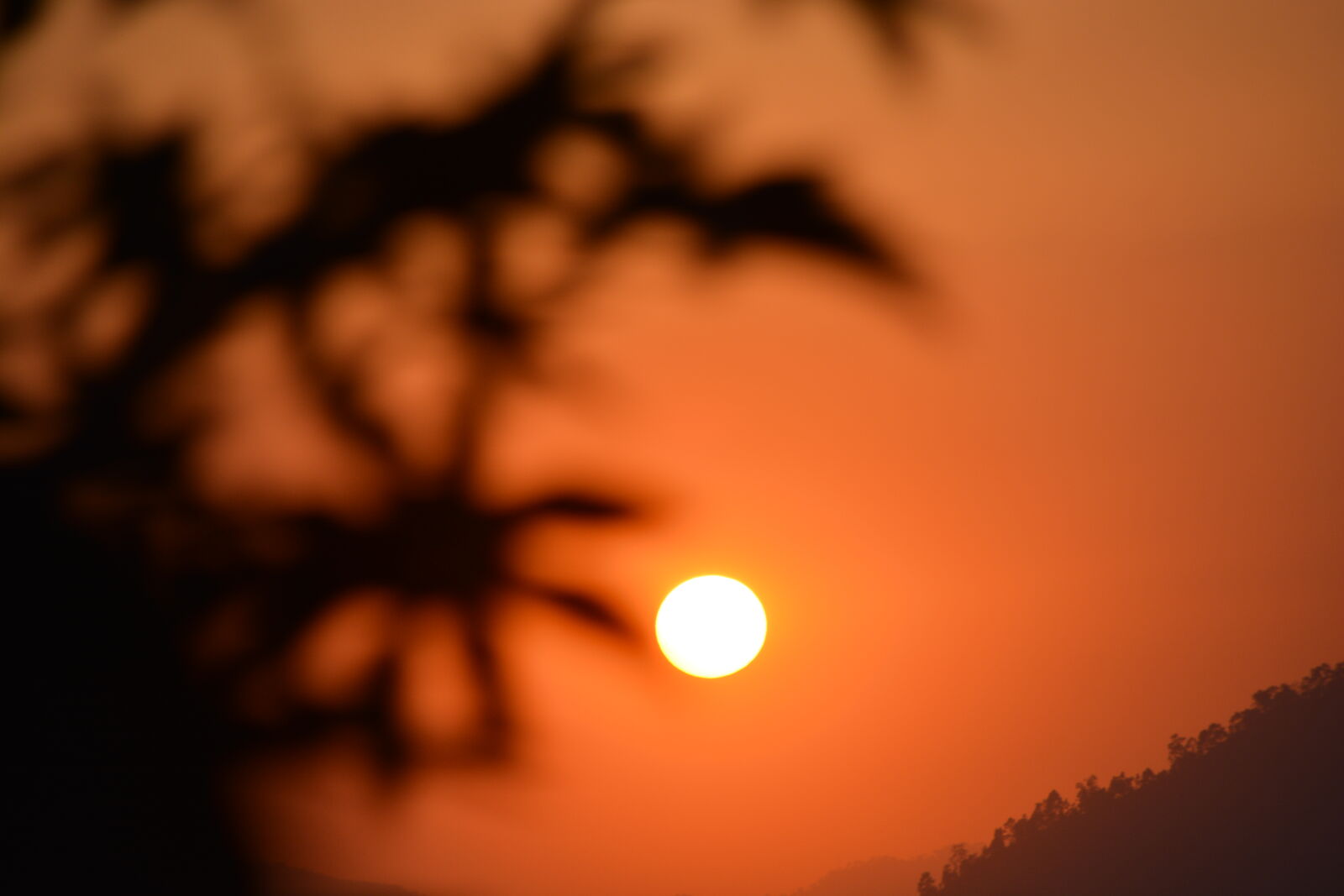Nikon D5200 sample photo