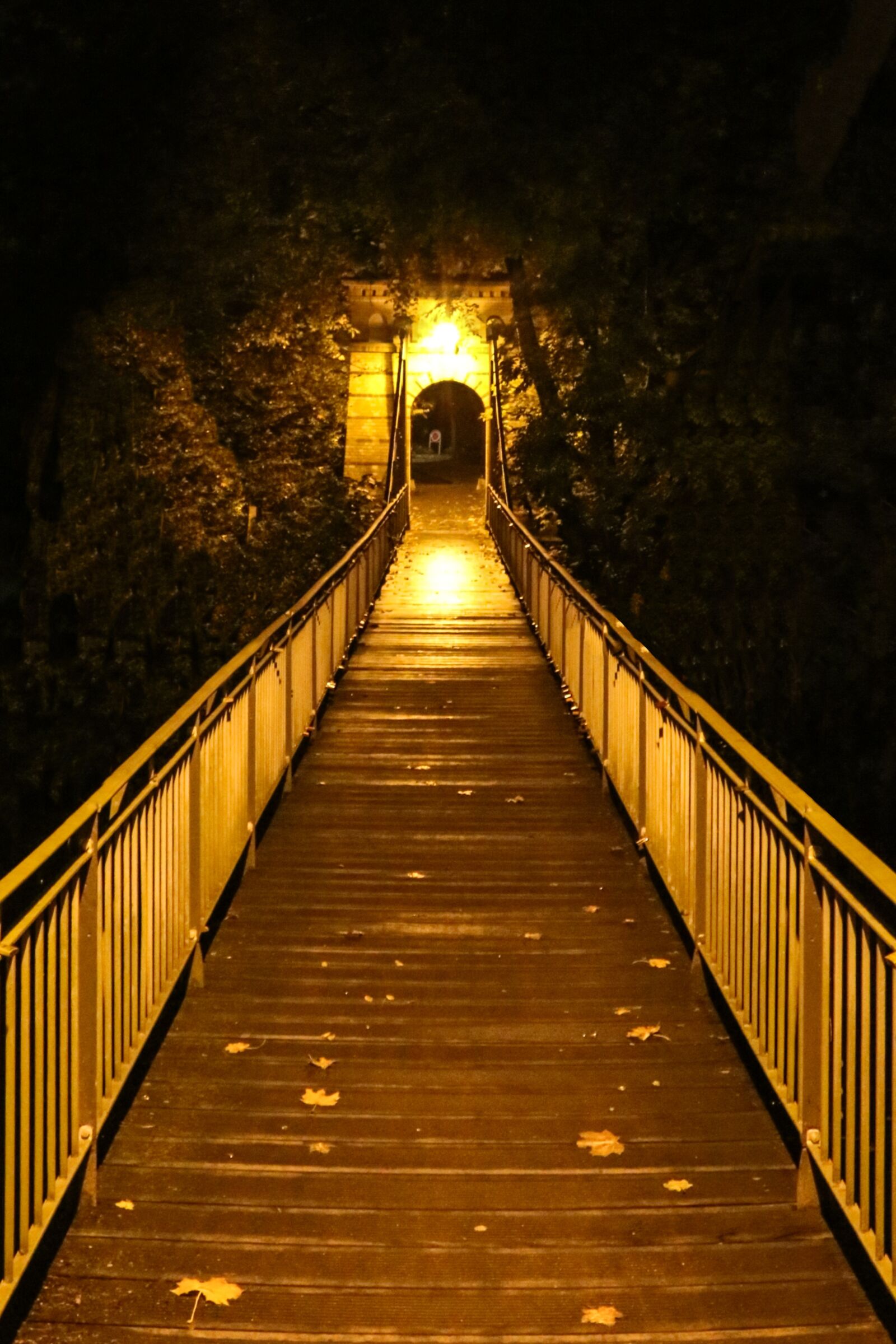 Canon EOS 70D sample photo. Bridge, night, light photography