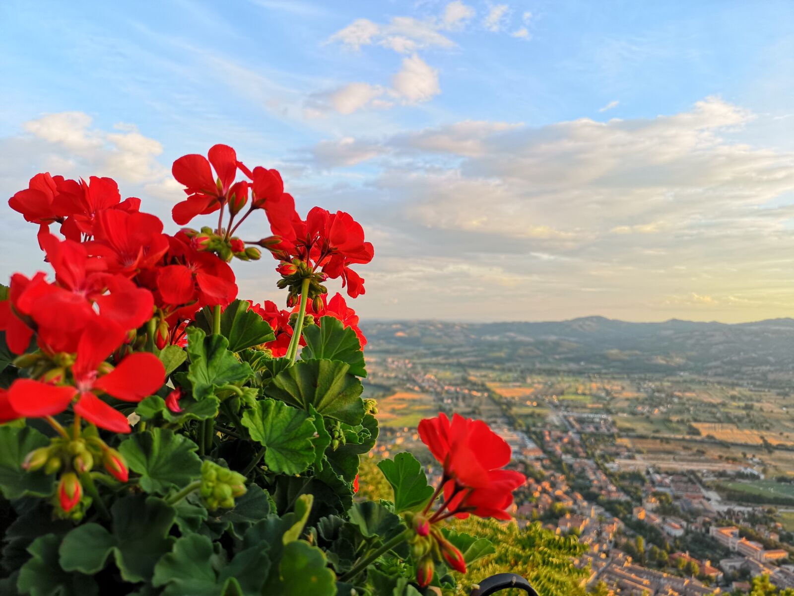 HUAWEI CLT-L09 sample photo. Gubbio, geranium, landscape photography