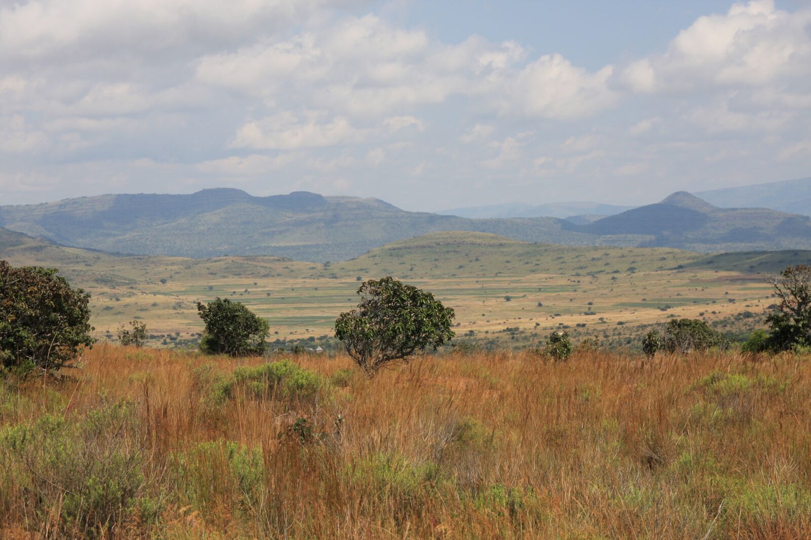 Canon EOS 40D sample photo. South africa, landscape, national photography