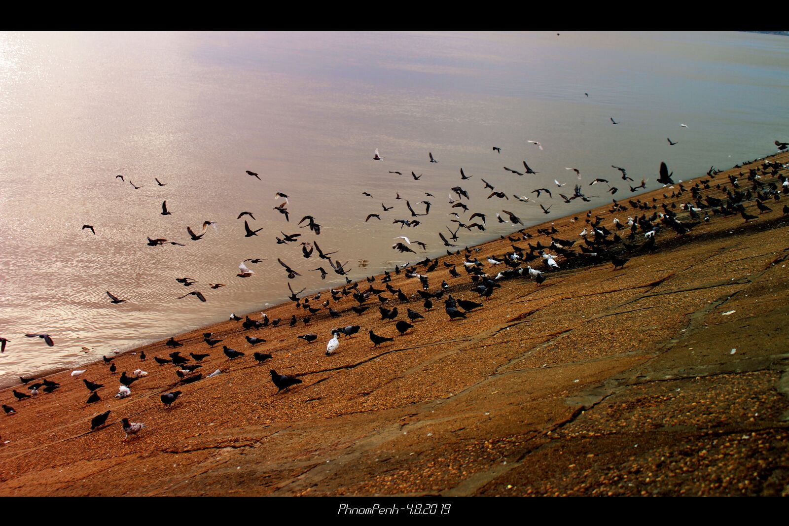Canon EOS 700D (EOS Rebel T5i / EOS Kiss X7i) sample photo. Cambodia, bocau, bird photography