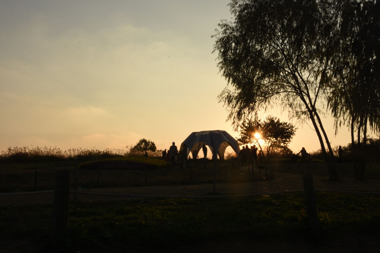 Nikon D7200 sample photo. Silhouette, sunset photography
