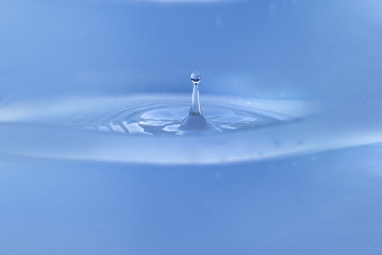 Nikon D600 sample photo. Drop of water, water photography