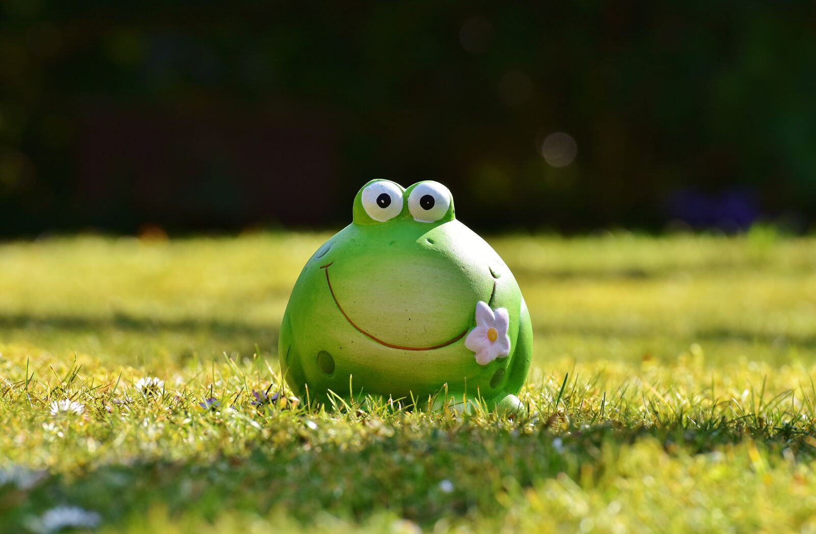 Nikon D7200 sample photo. Frog, figure, meadow photography