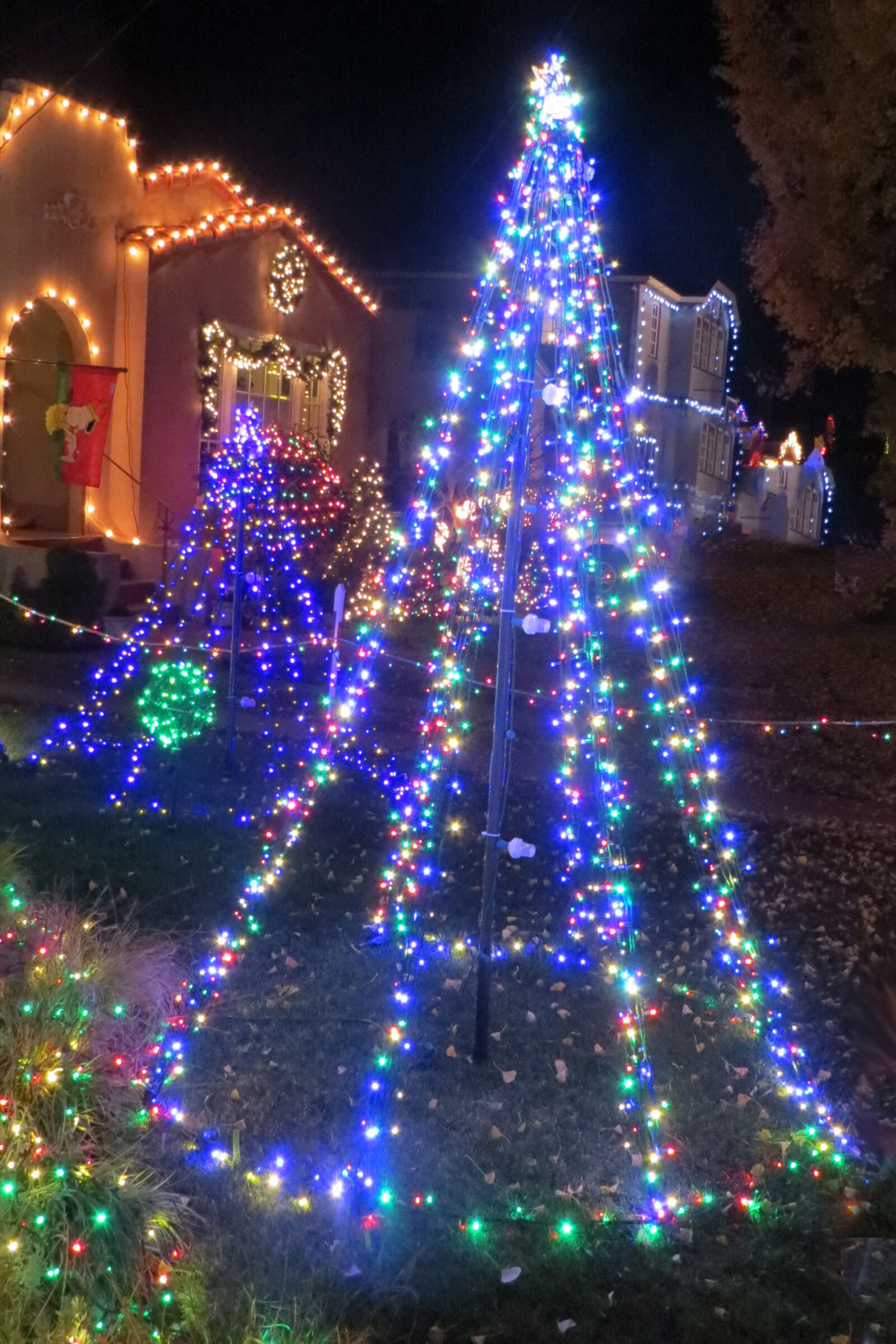 Canon PowerShot SX260 HS sample photo. Blue, christmas, christmas, tree photography