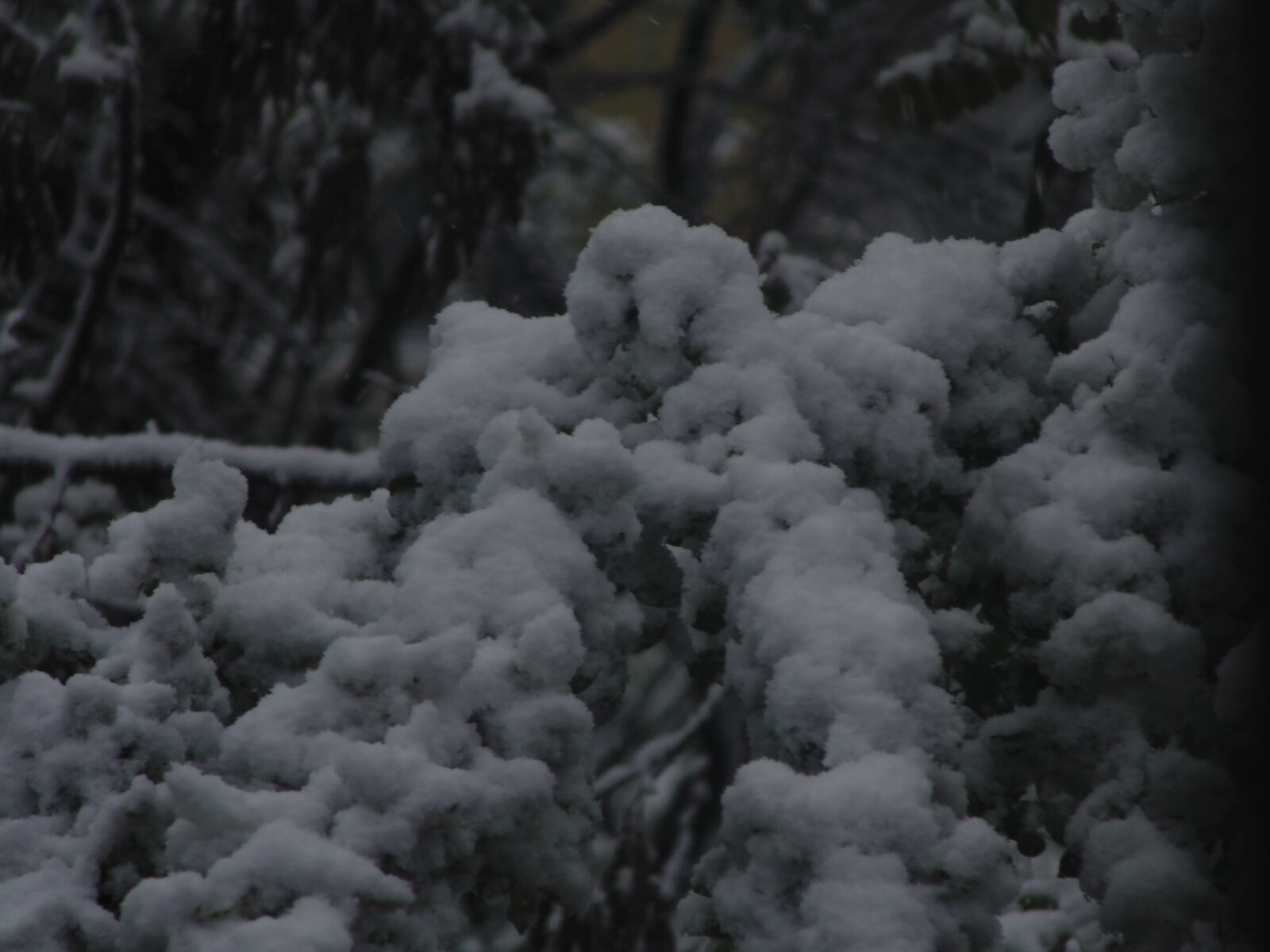 Sony DSC-H100 sample photo