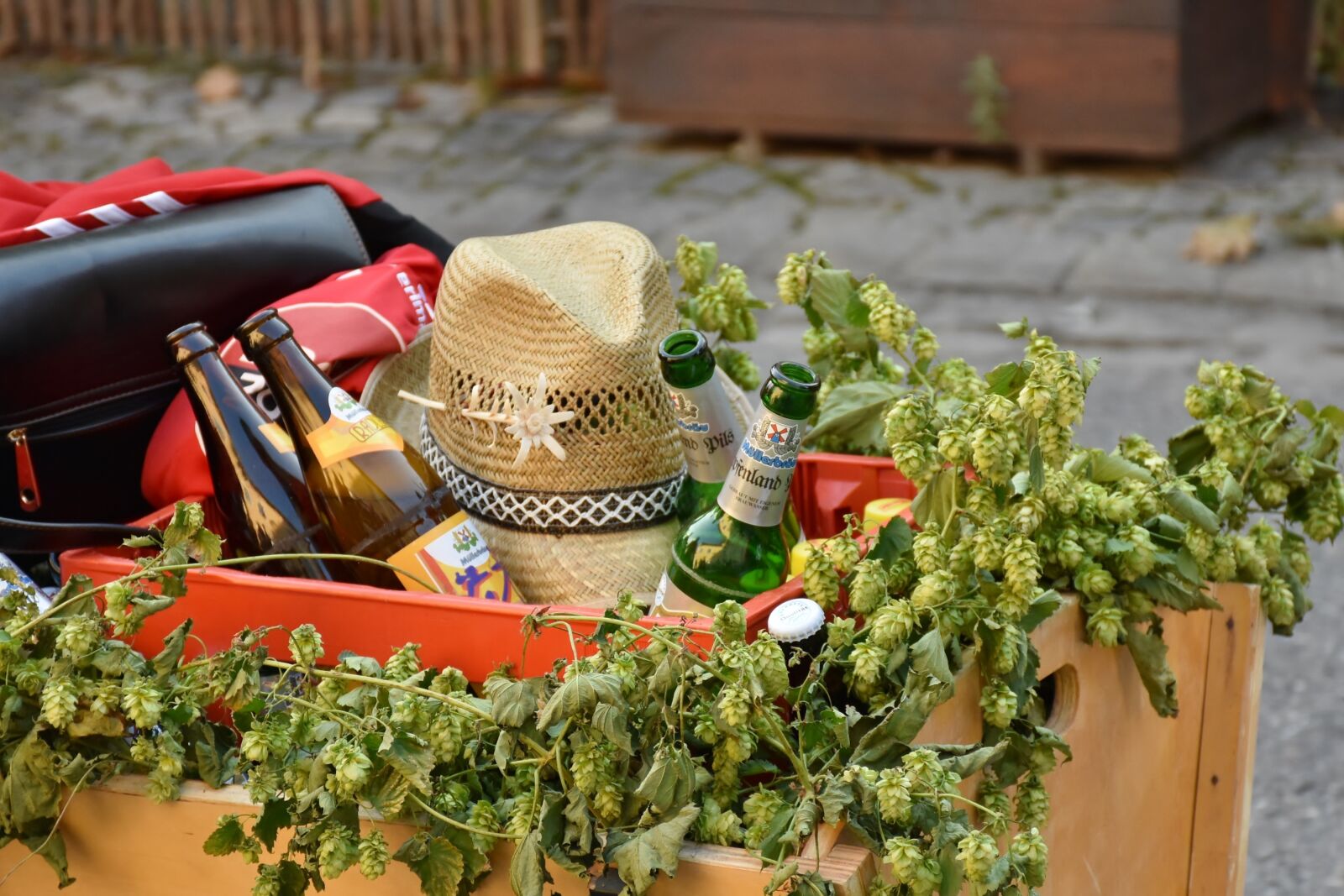 Nikon D7200 sample photo. Cart, stroller, beer photography