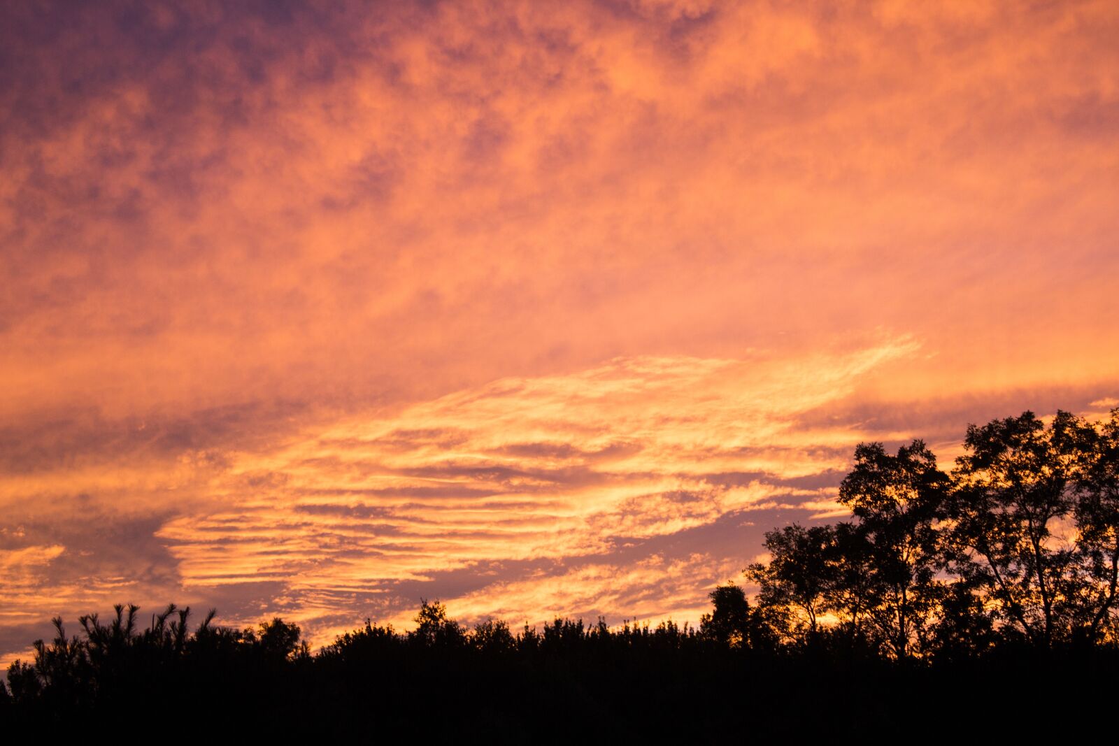 Canon EOS 1200D (EOS Rebel T5 / EOS Kiss X70 / EOS Hi) sample photo. Sunset, pink, yellow photography