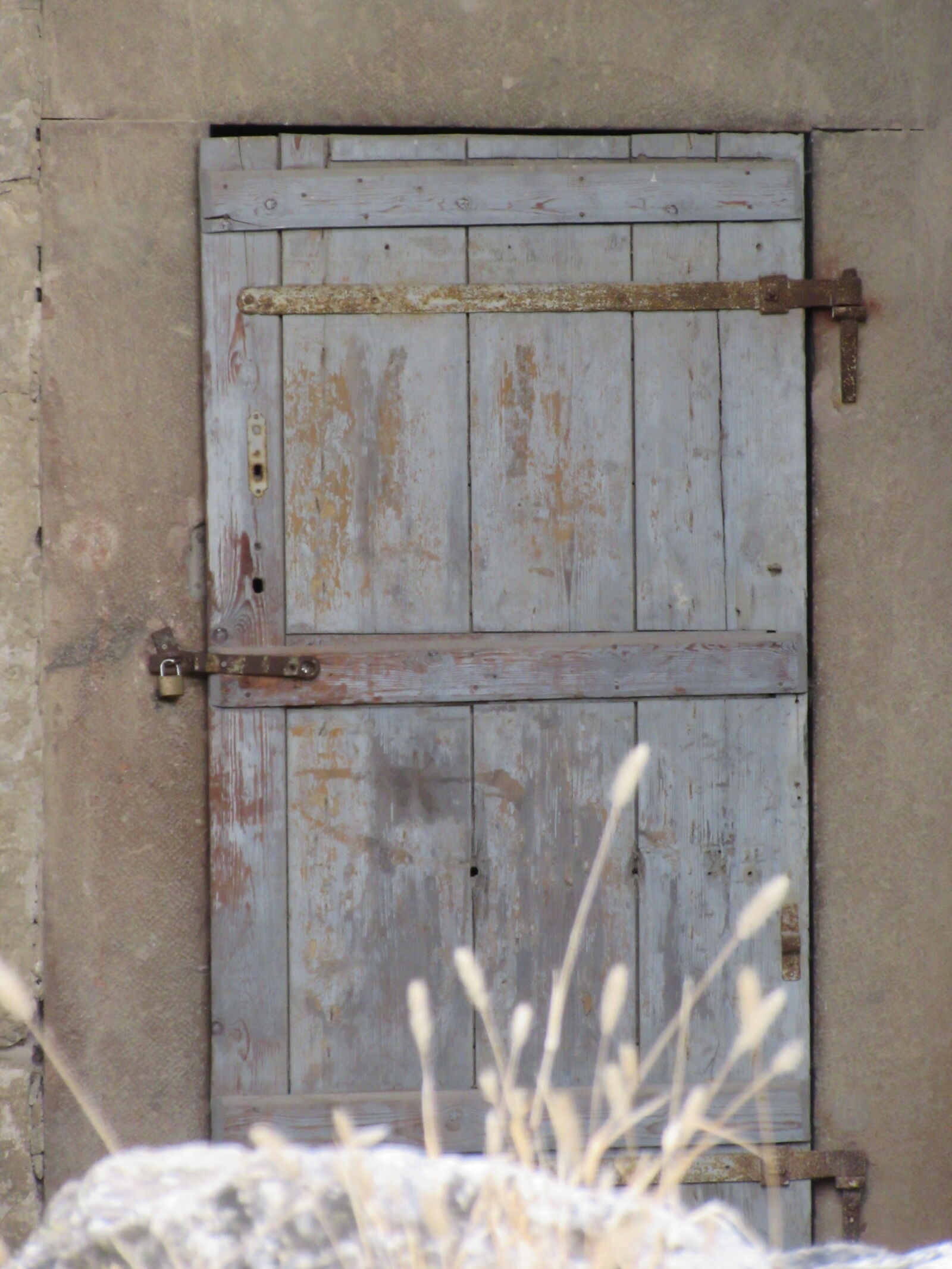 Canon PowerShot SX600 HS sample photo