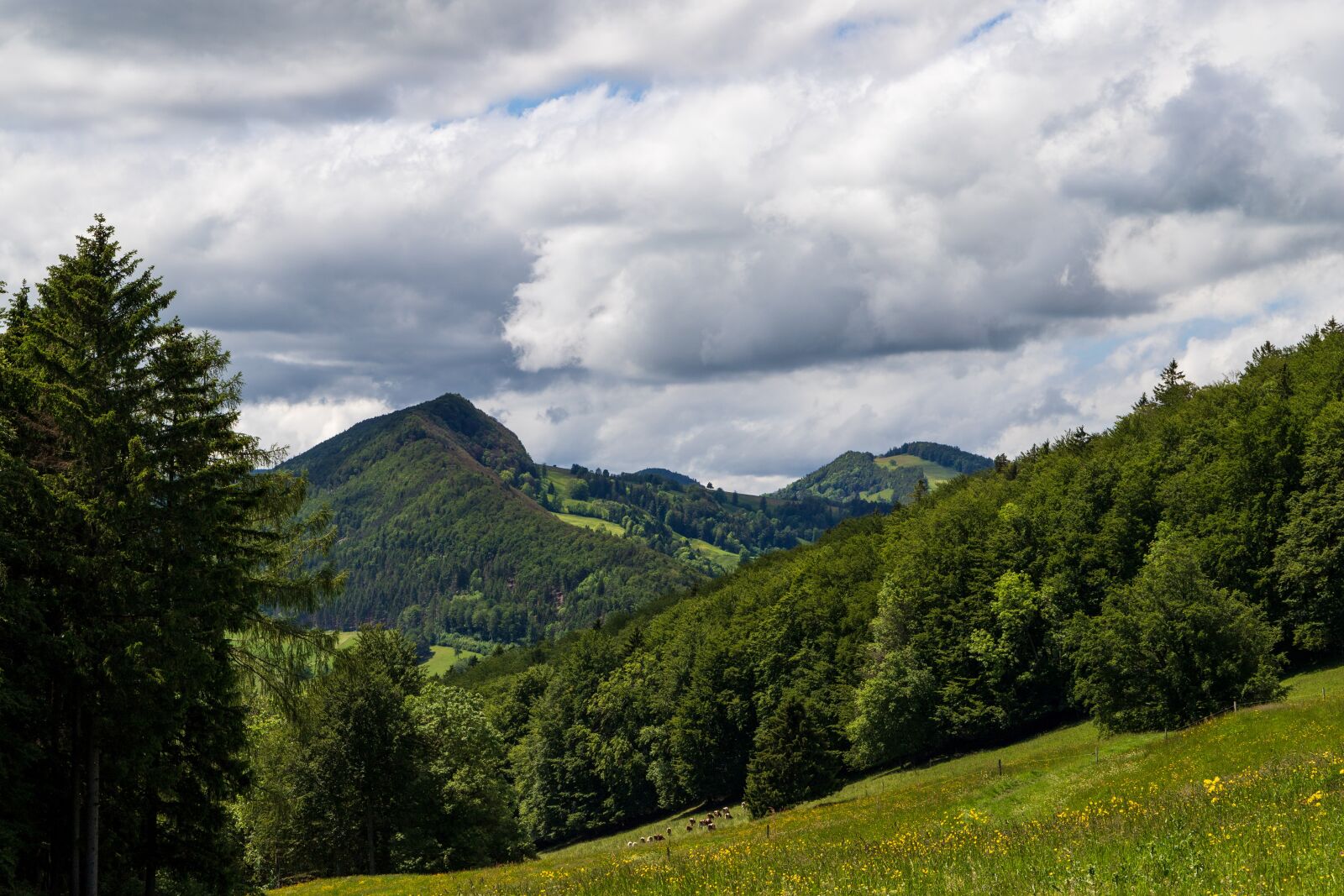 Canon EOS 6D Mark II sample photo. Langenbruck, hiking, switzerland photography