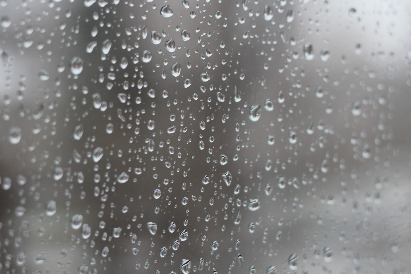 Canon EOS 1200D (EOS Rebel T5 / EOS Kiss X70 / EOS Hi) sample photo. Rain, drop, glass photography