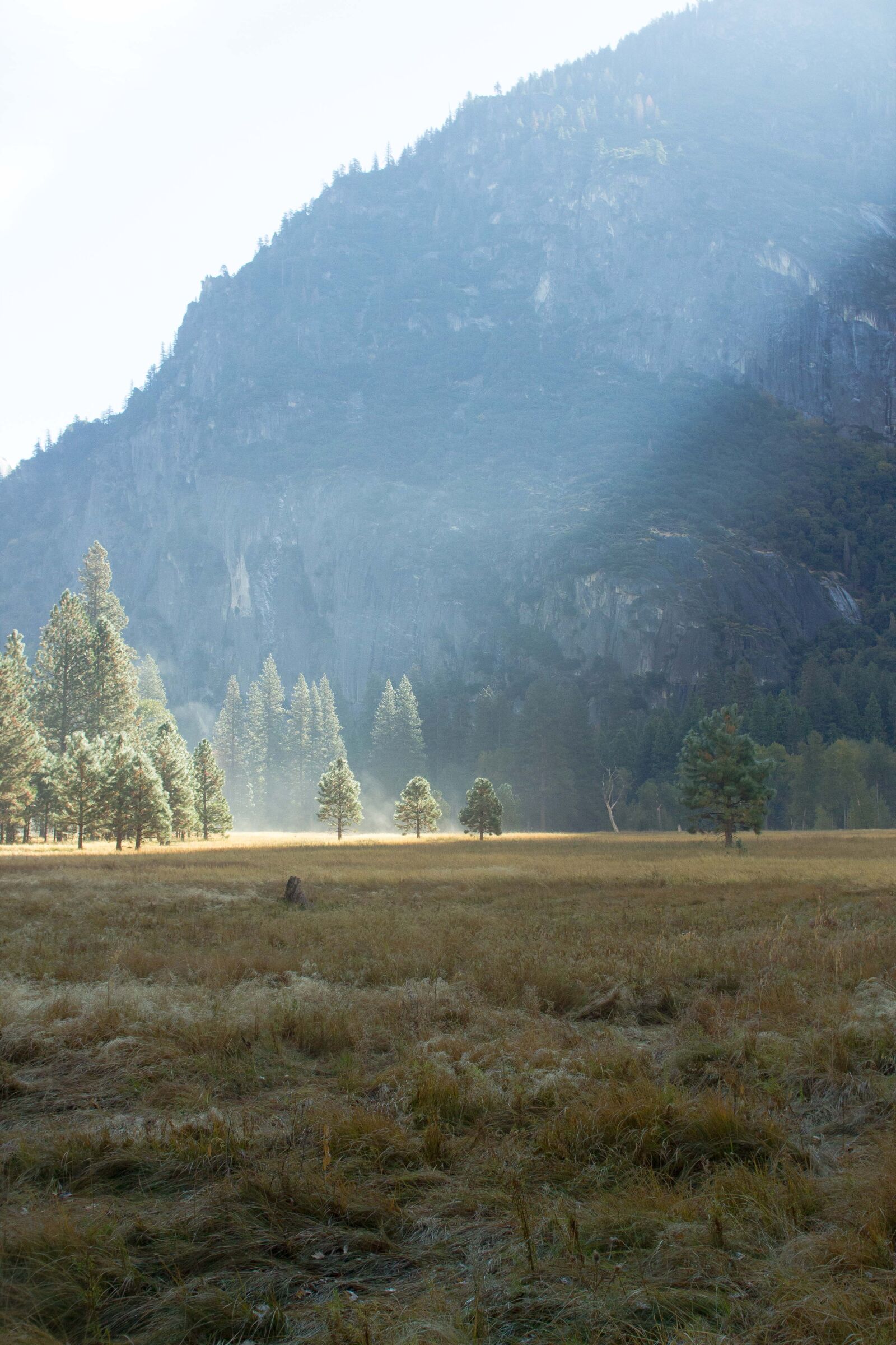 Canon EOS 550D (EOS Rebel T2i / EOS Kiss X4) sample photo. Yosemite, mist, field photography