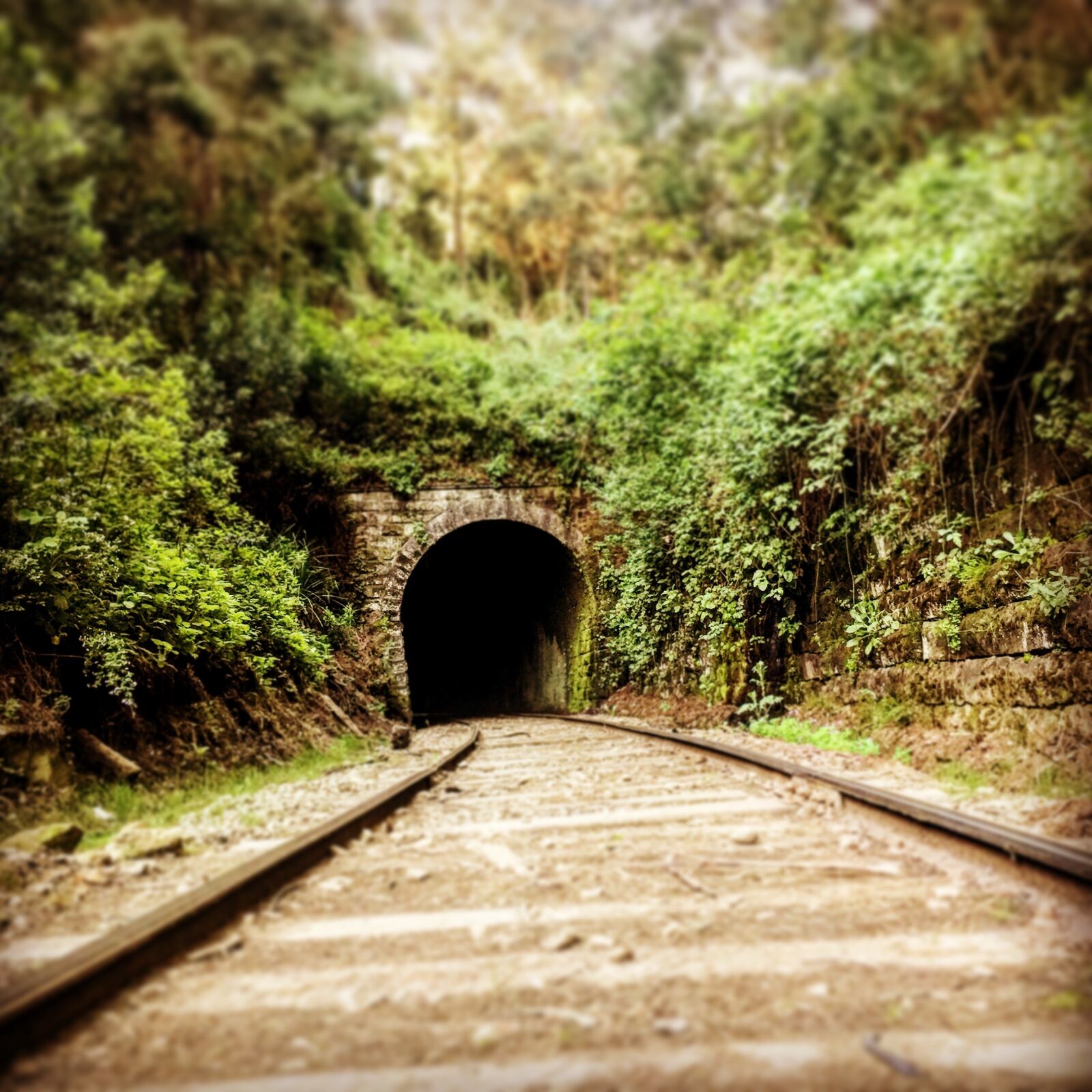 iPhone 6 Plus back camera 4.15mm f/2.2 sample photo. Online, train, tunnel photography