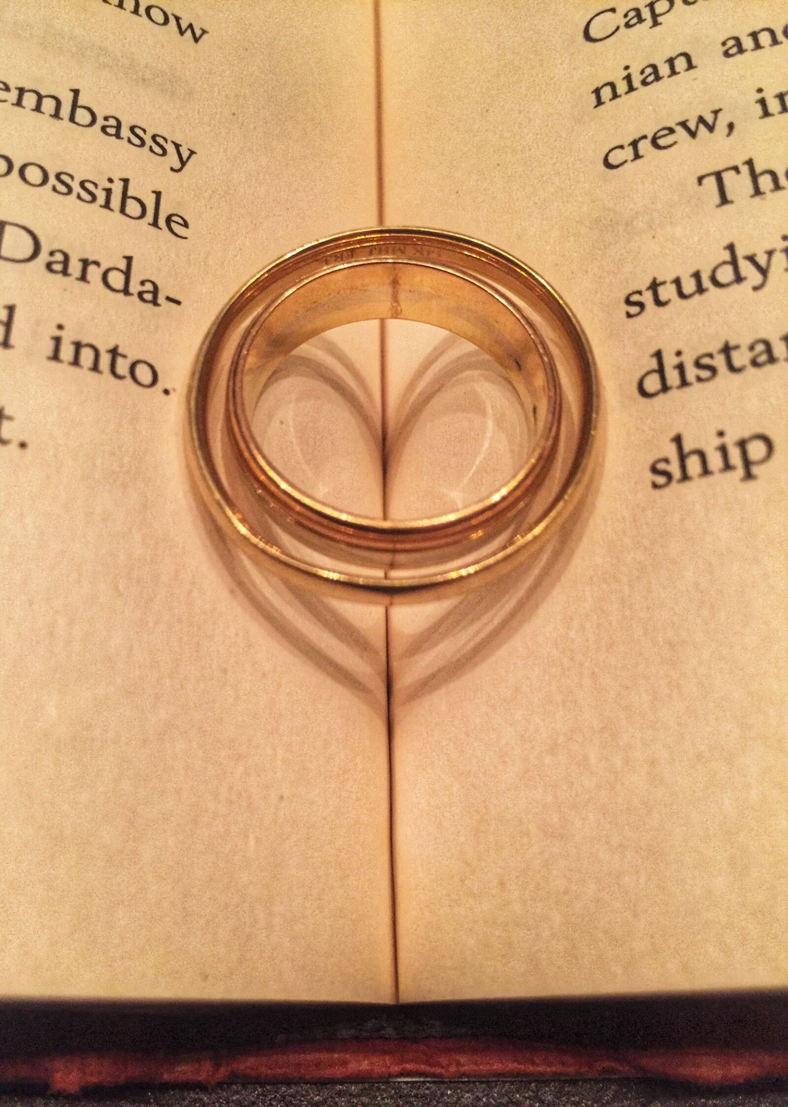 iPhone 6 back camera 4.15mm f/2.2 sample photo. Book, creative, gold, rings photography