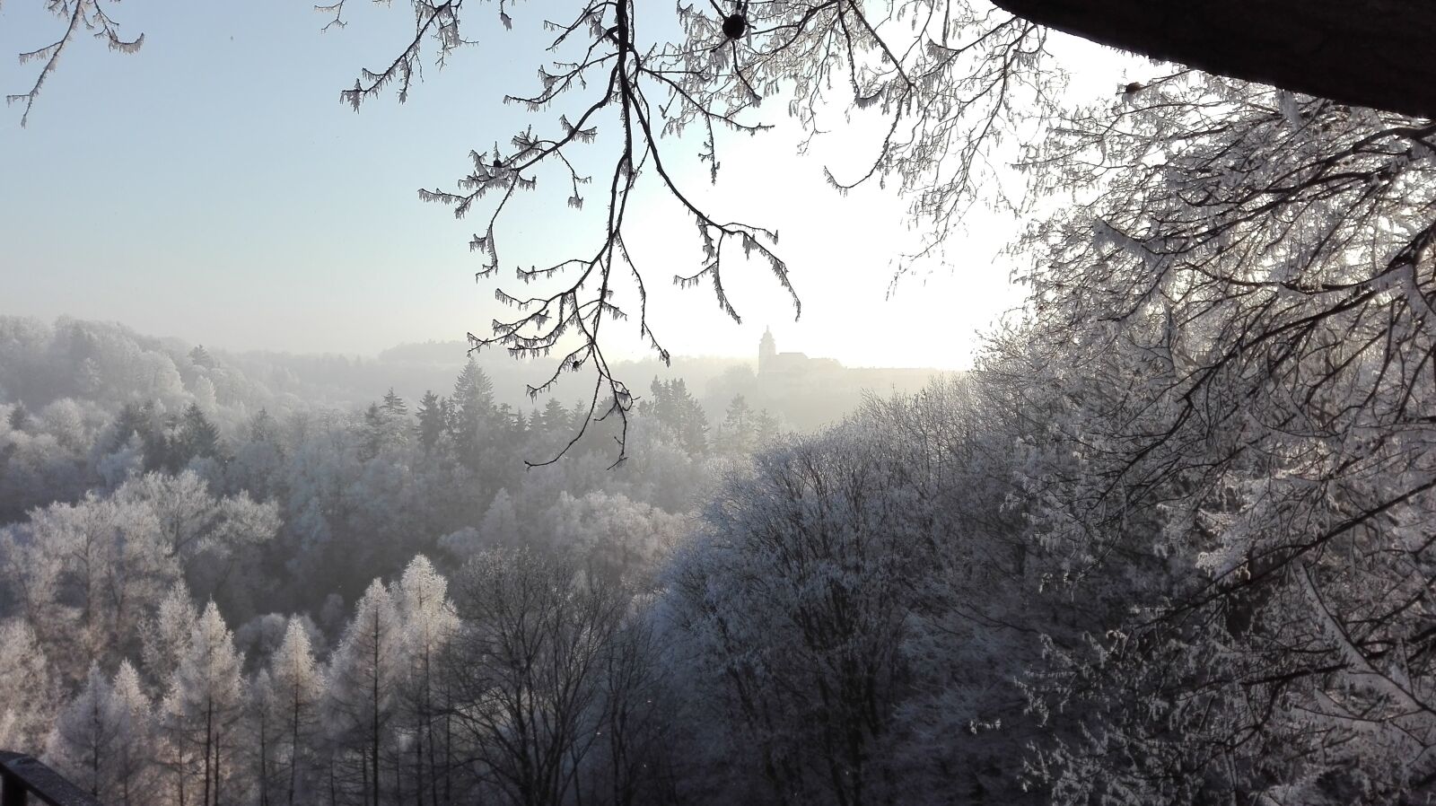 HUAWEI P8 Lite sample photo. Winter, frost, cold photography