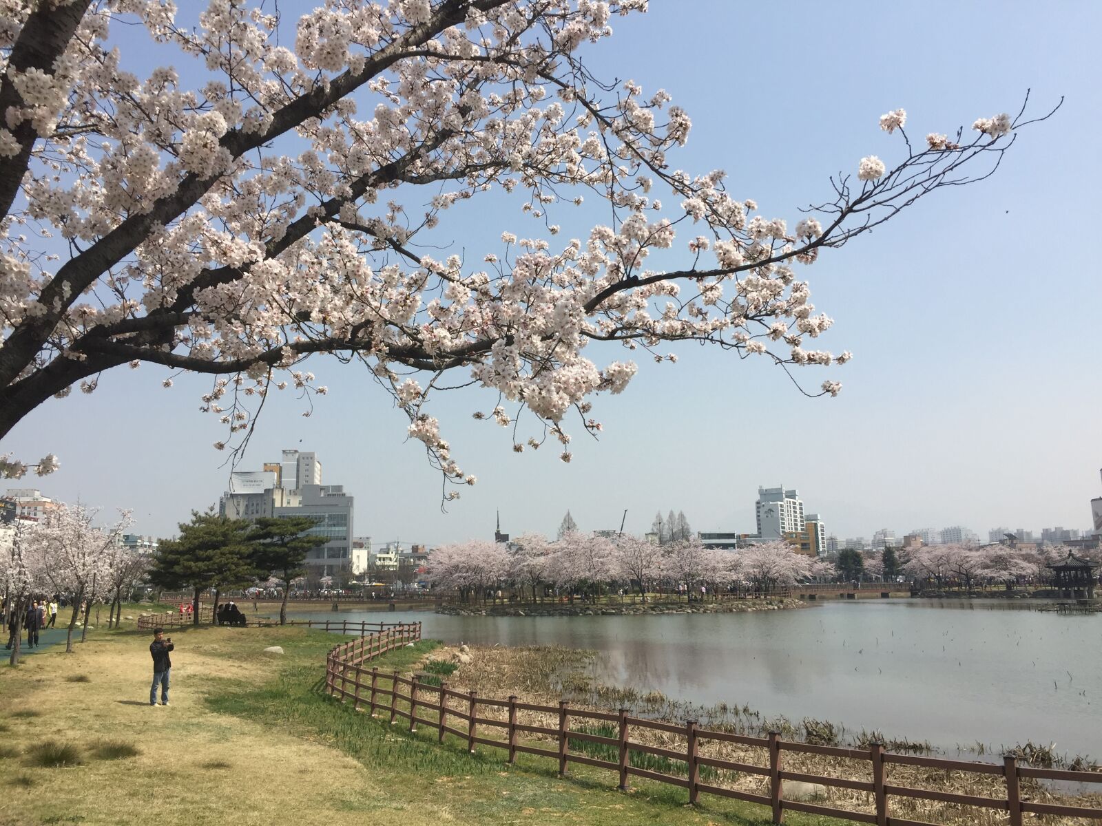 iPhone 6 Plus back camera 4.15mm f/2.2 sample photo. View, of, river, with photography