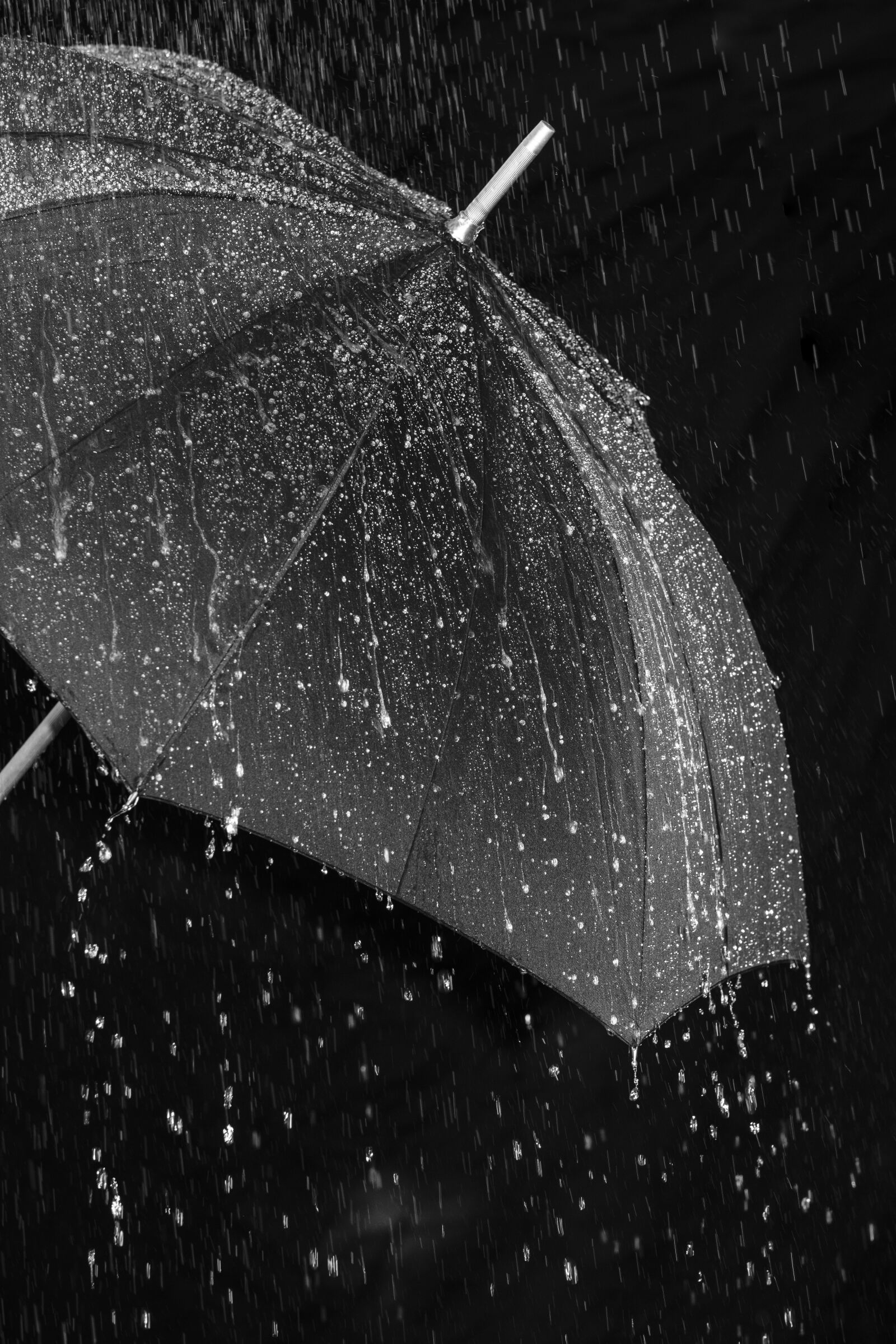 Fujifilm X-T2 + Fujifilm XF 80mm F2.8 R LM OIS WR Macro sample photo. Rain, umbrella, screen photography
