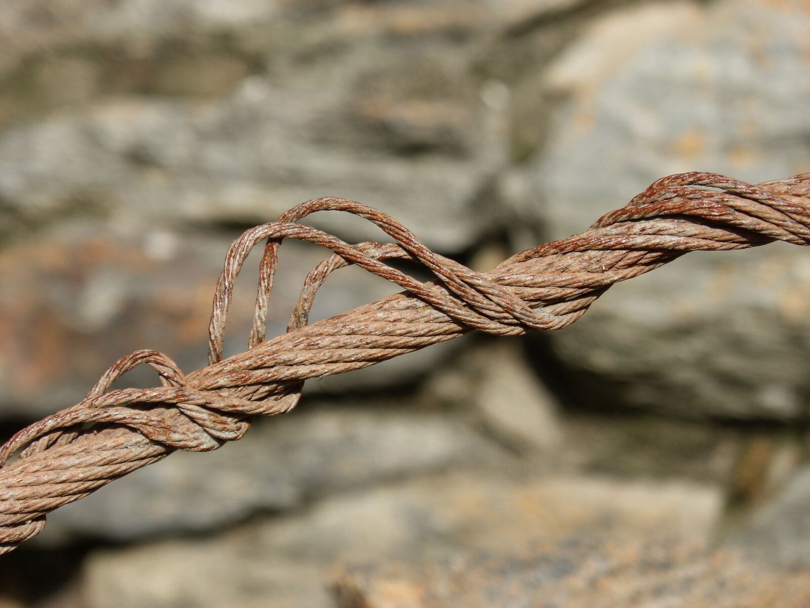 Panasonic DMC-FZ62 sample photo. Steel cable, broken, frayed photography